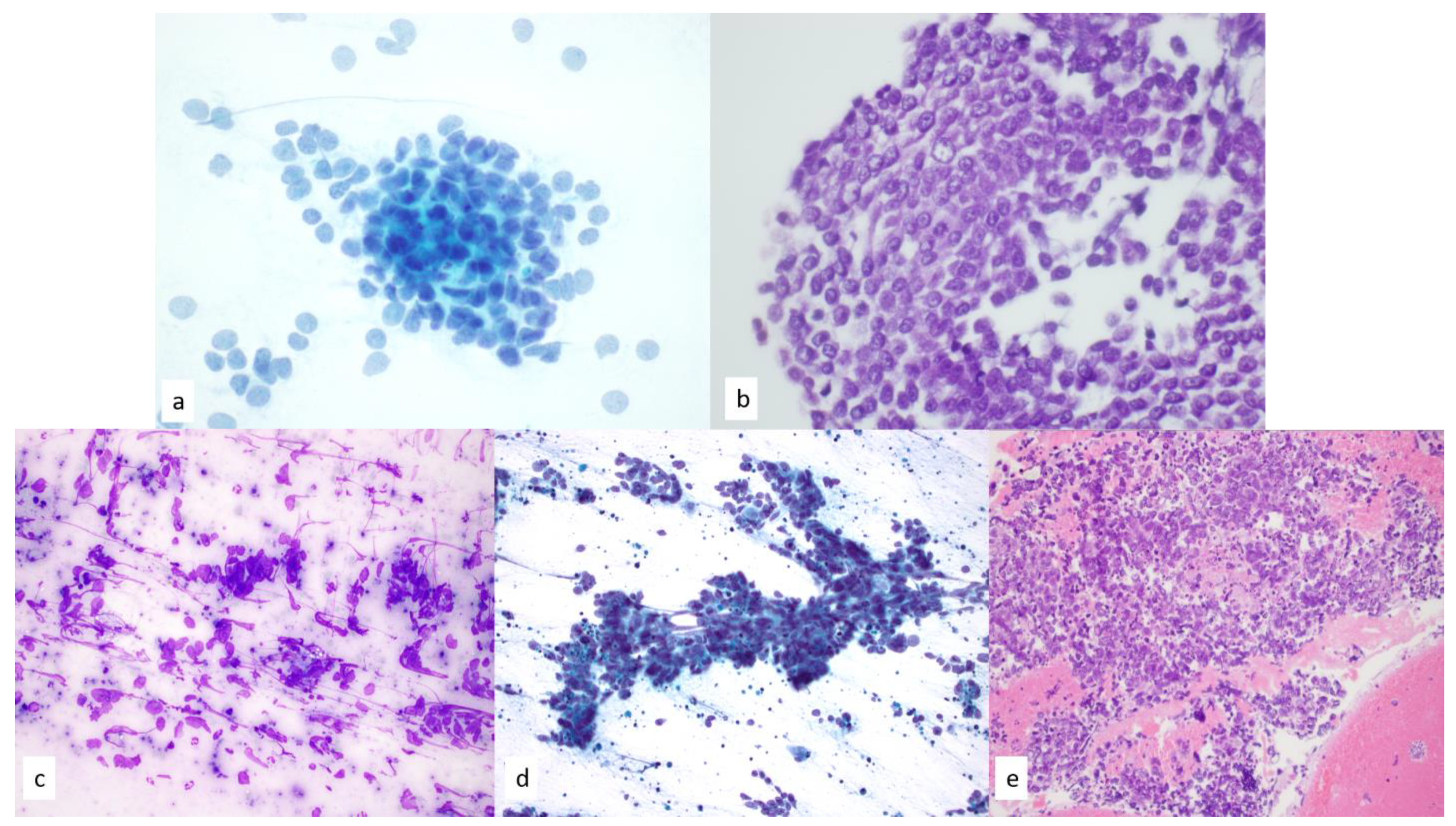 Diagnostics 13 02400 g011