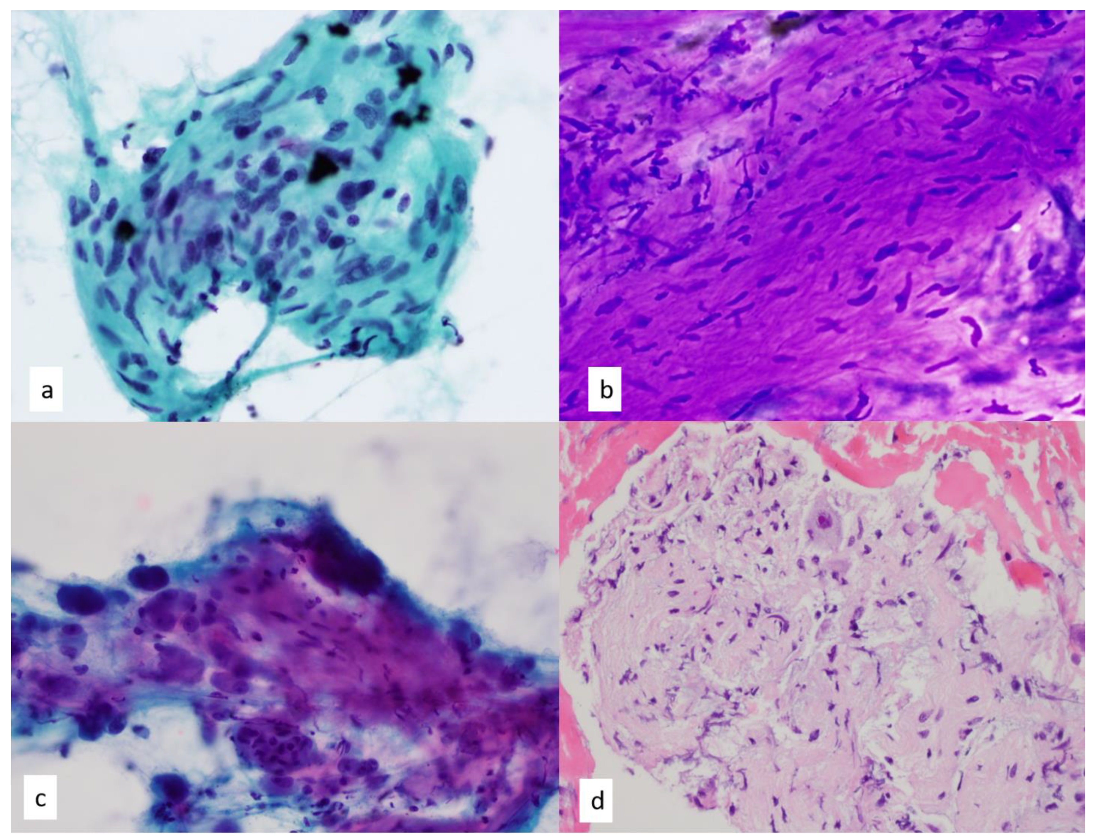 Diagnostics 13 02400 g012