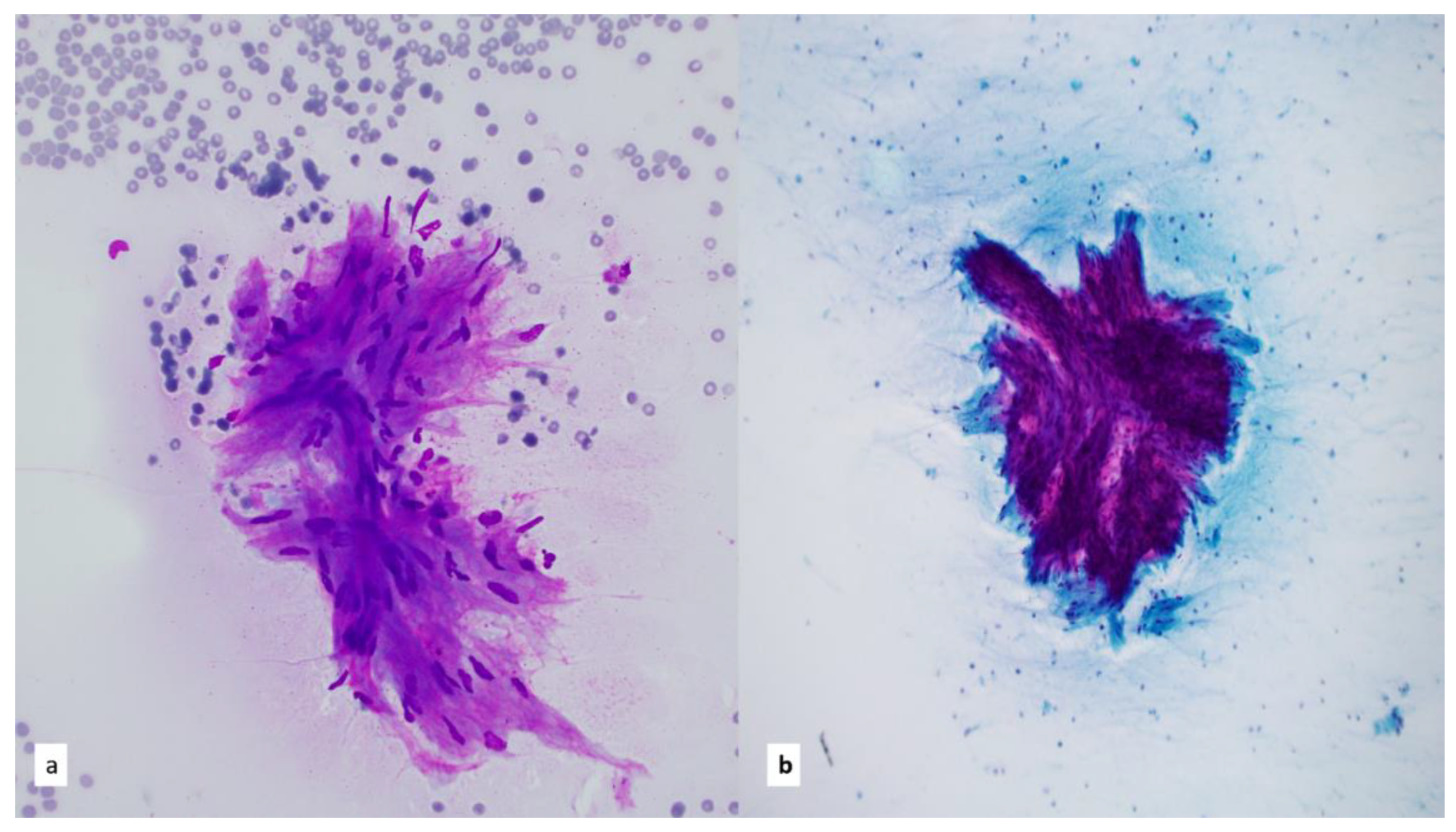 Diagnostics 13 02400 g014