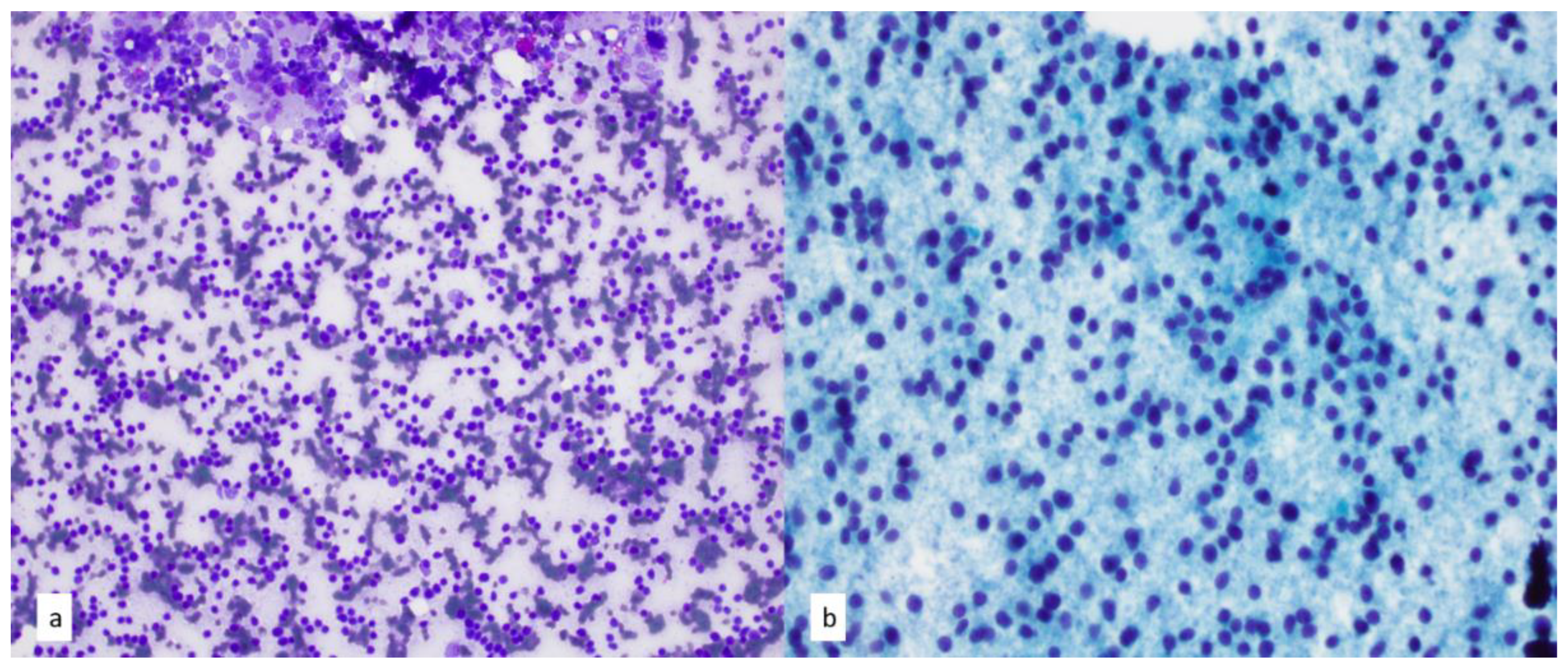 Diagnostics 13 02400 g018