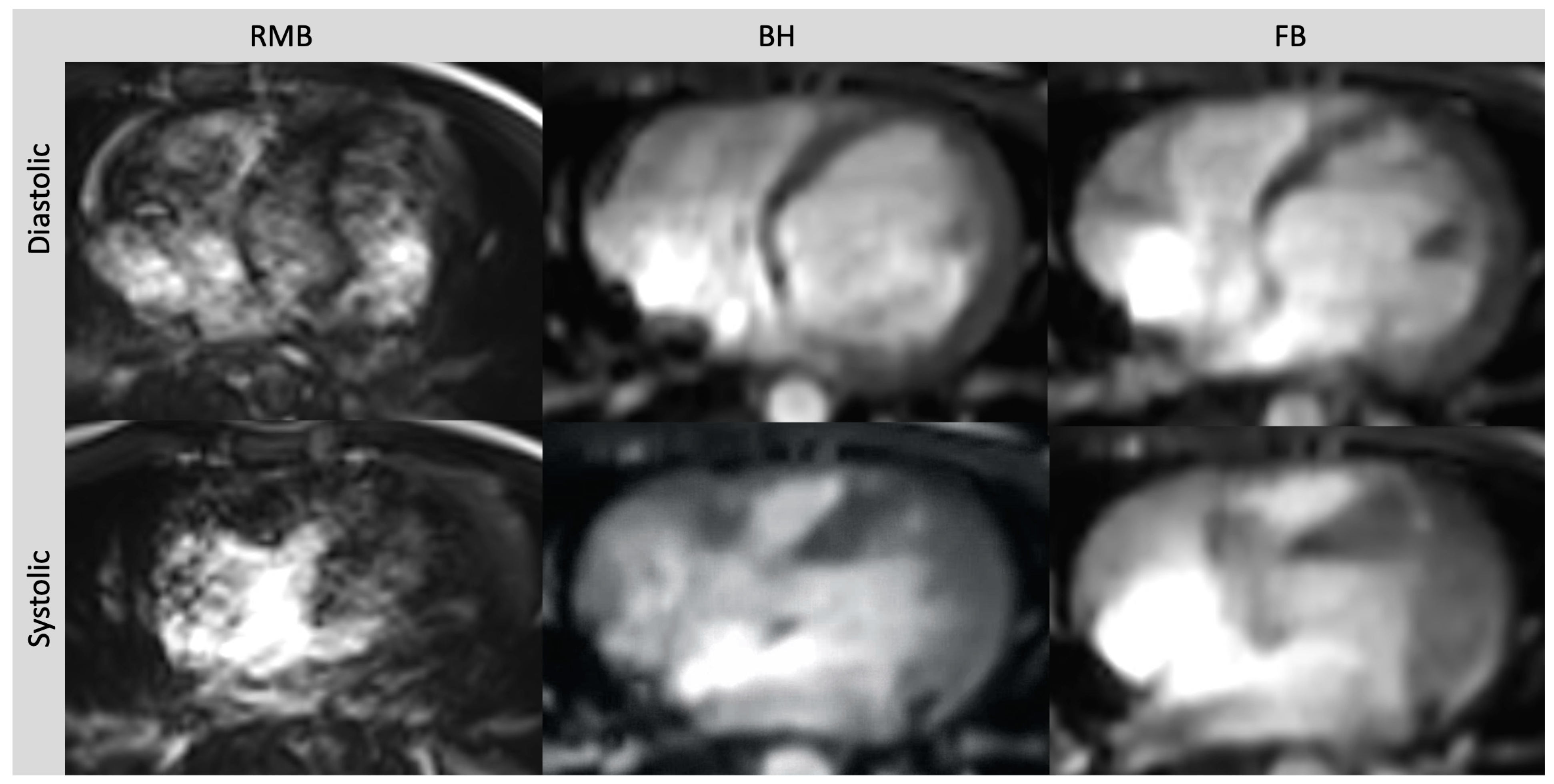 Diagnostics 13 02403 g002 Diagnostics 13 02403 g002