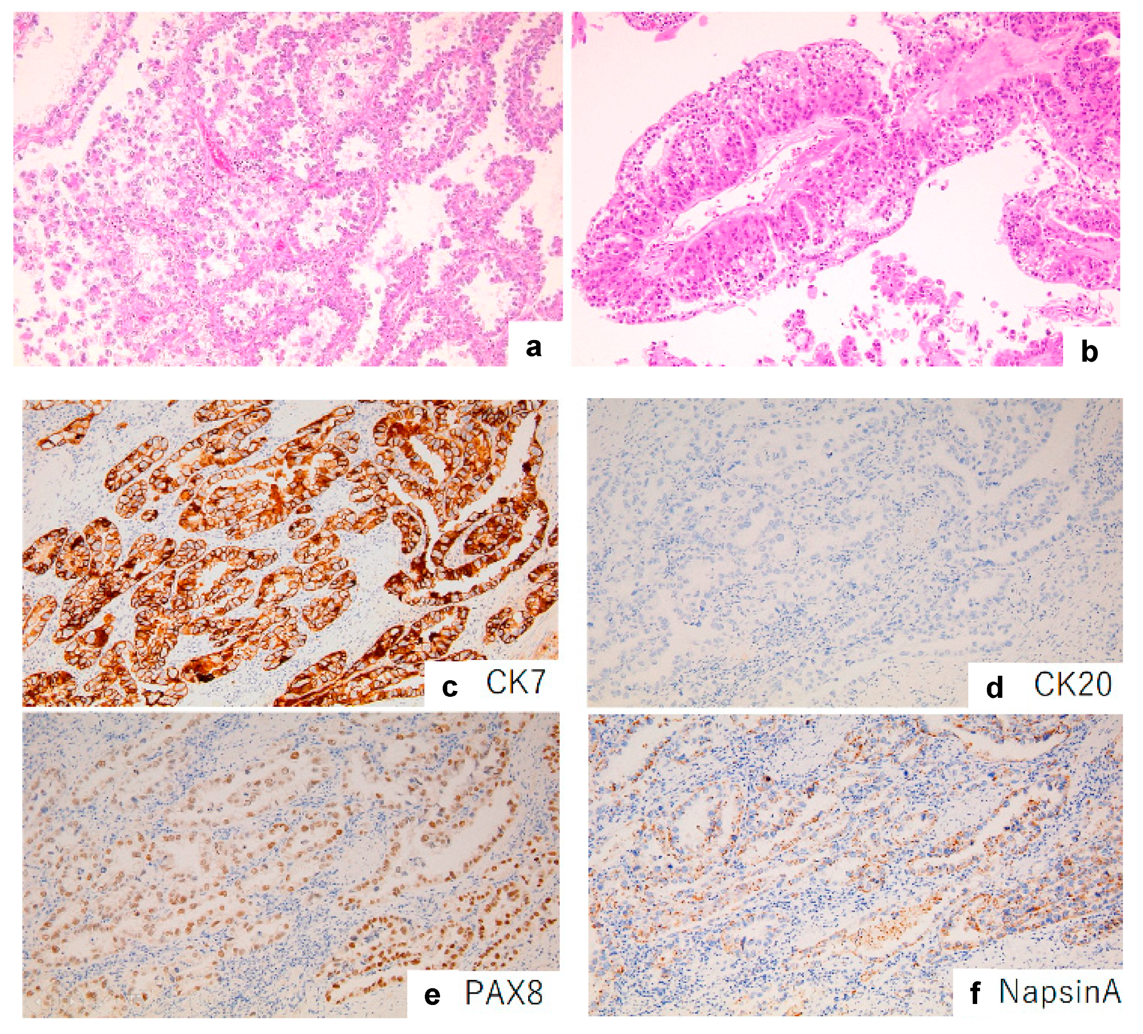 Diagnostics 13 02408 g002 Diagnostics 13 02408 g002