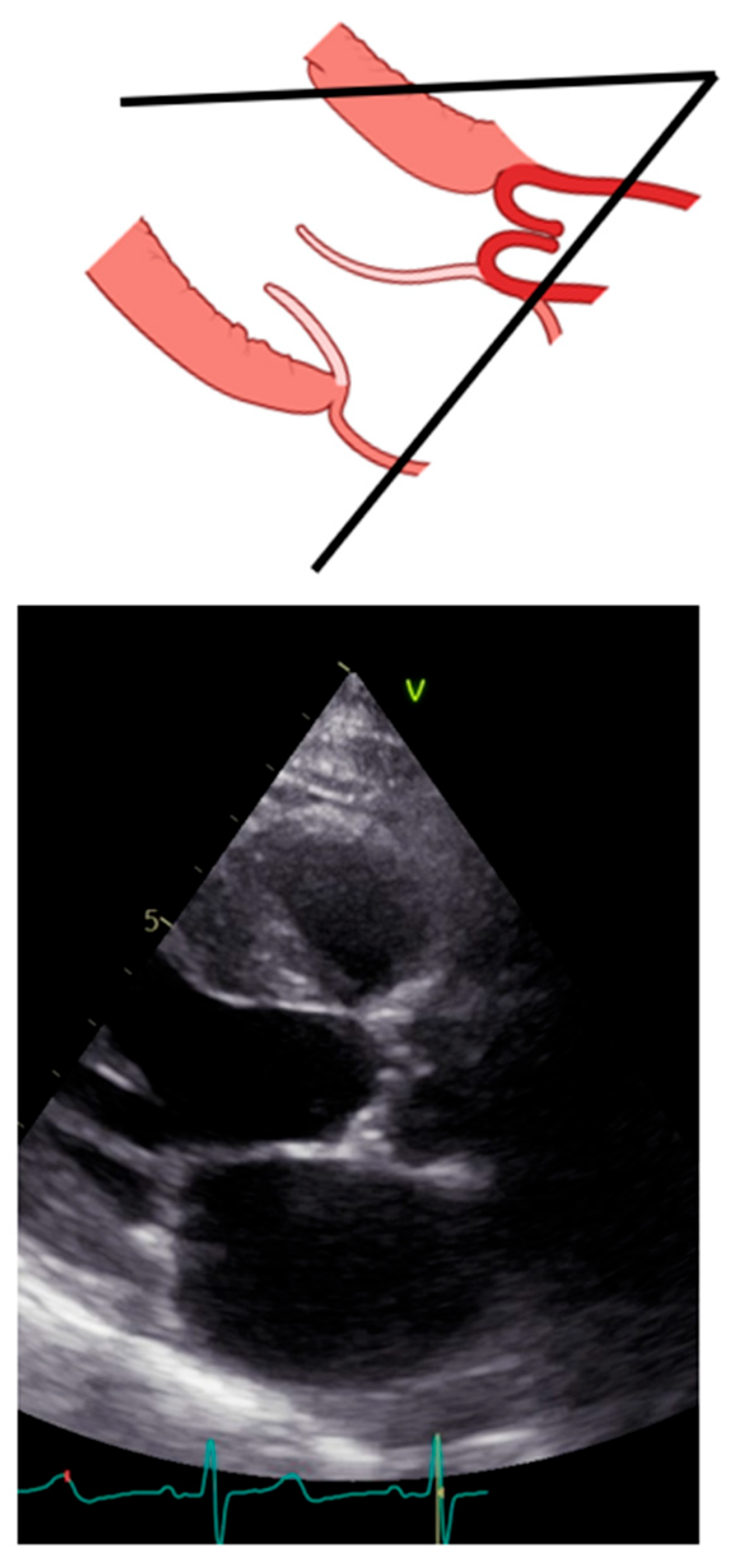 Diagnostics 13 02414 g002 Diagnostics 13 02414 g002