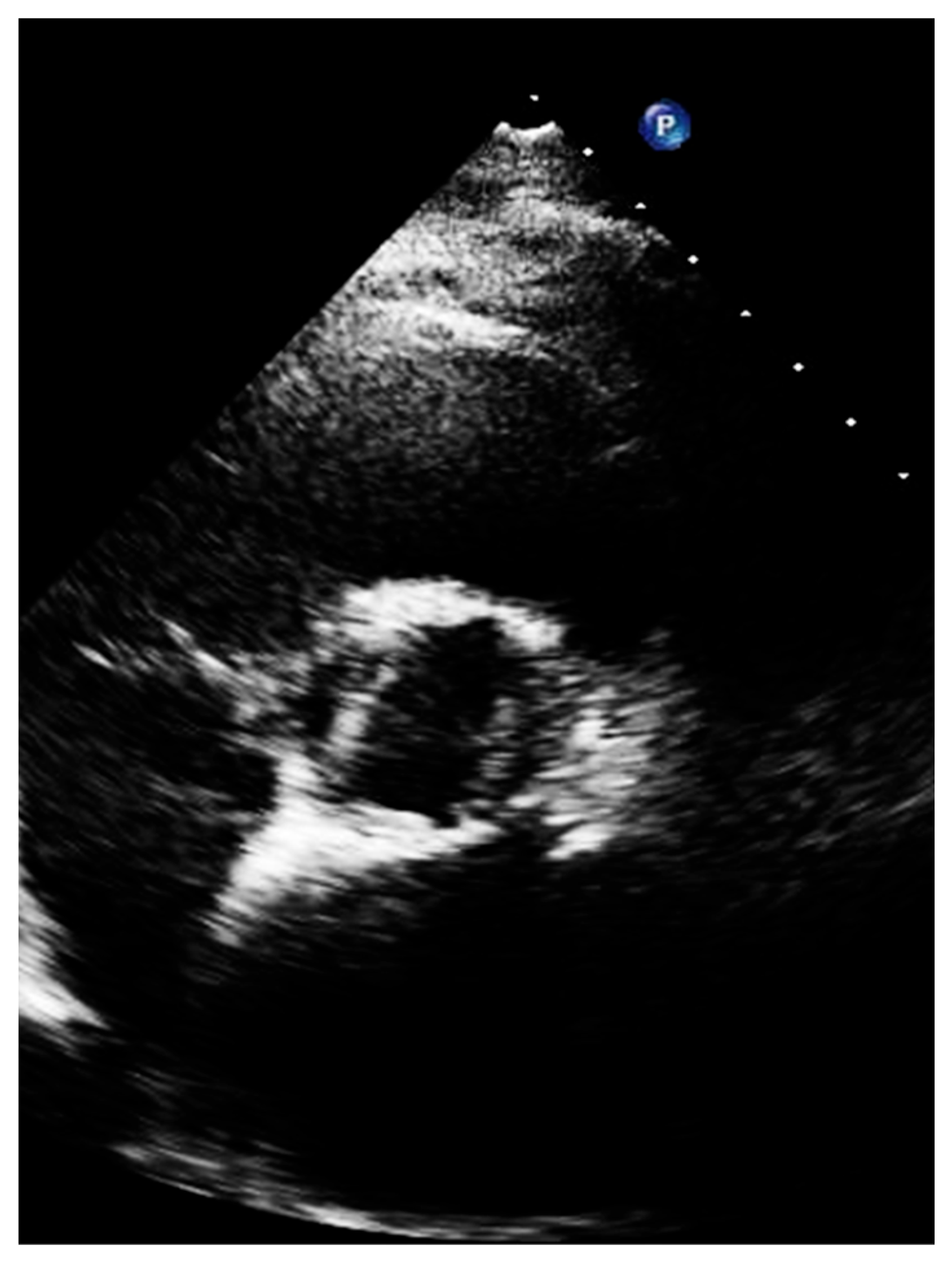 Diagnostics 13 02414 g007 Diagnostics 13 02414 g007