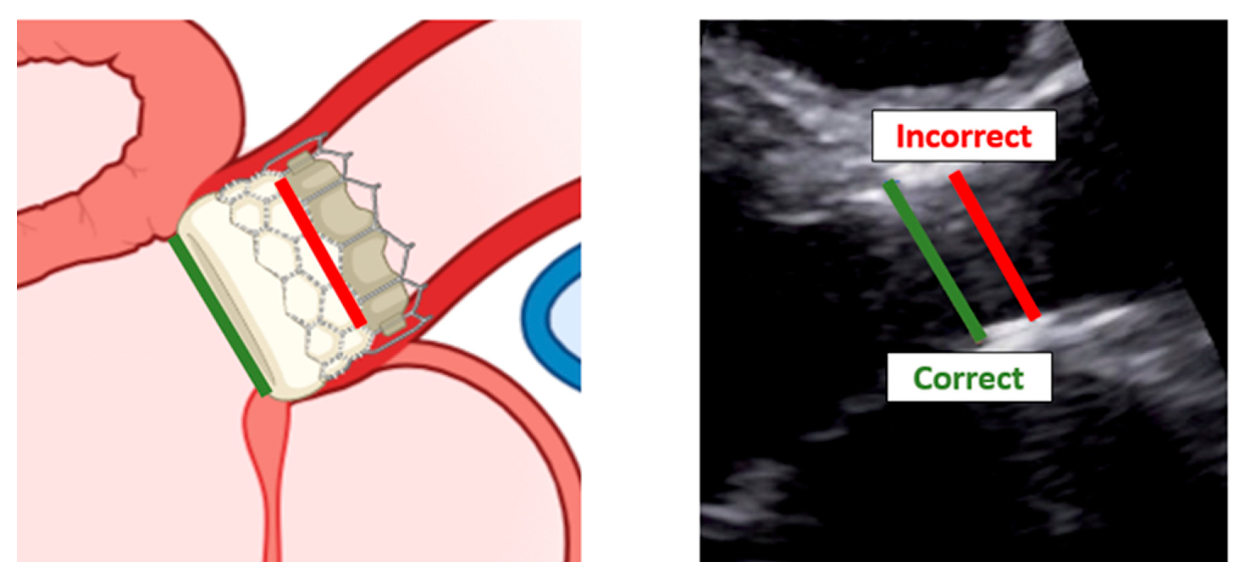 Diagnostics 13 02414 g011 Diagnostics 13 02414 g011
