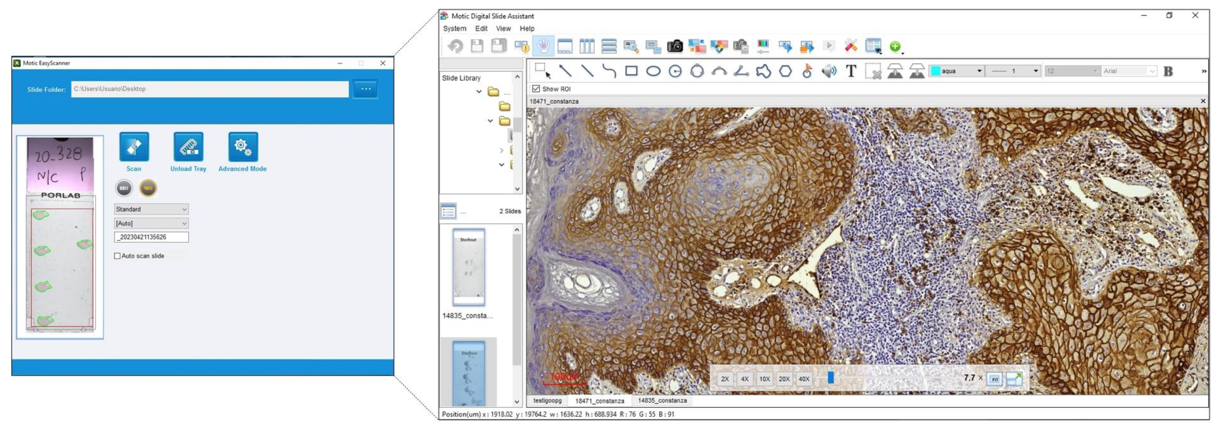 Diagnostics 13 02416 g002 Diagnostics 13 02416 g002