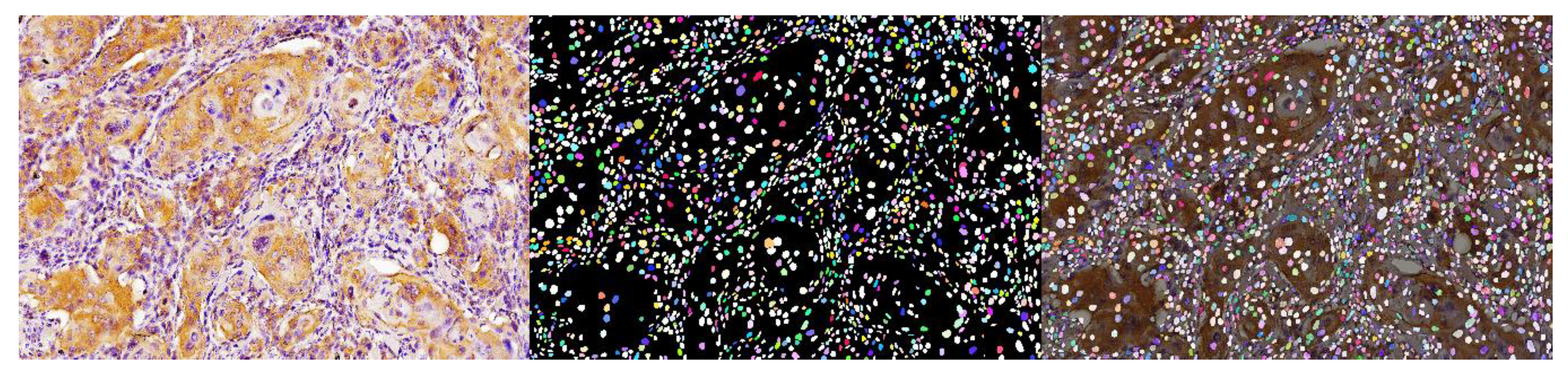 Diagnostics 13 02416 g003 Diagnostics 13 02416 g003