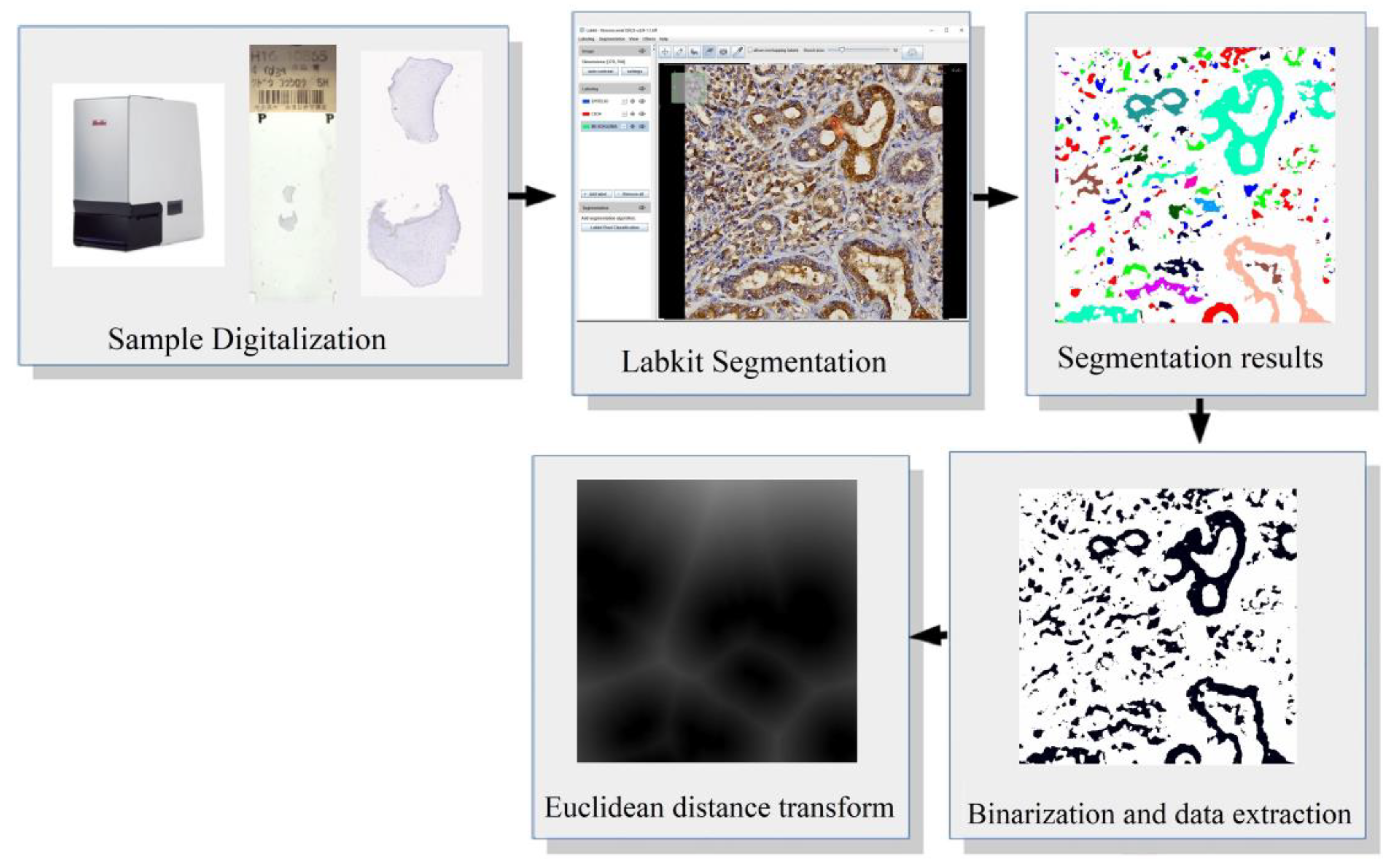 Diagnostics 13 02416 g004 Diagnostics 13 02416 g004