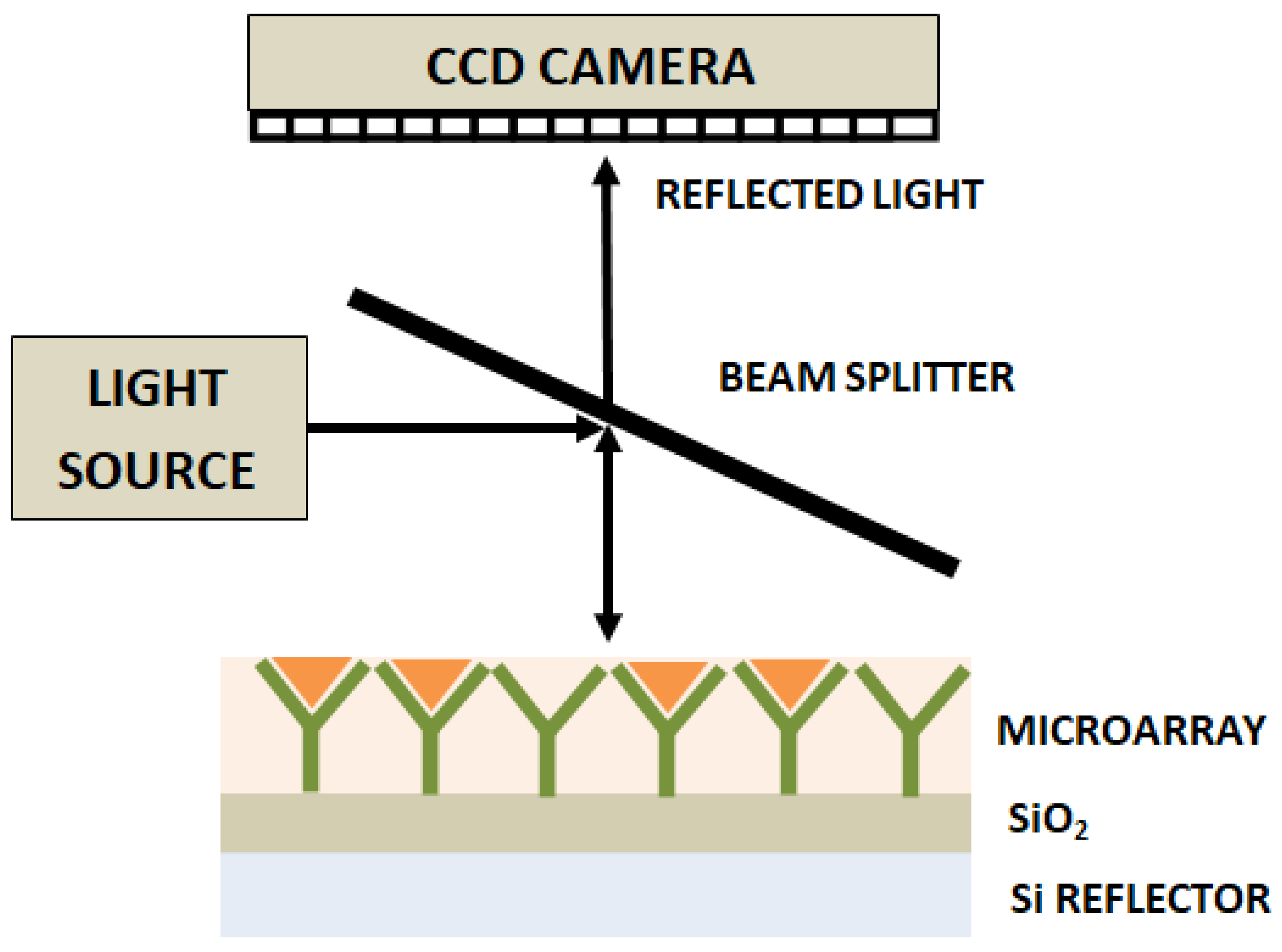 Diagnostics 13 02418 g006 Diagnostics 13 02418 g006