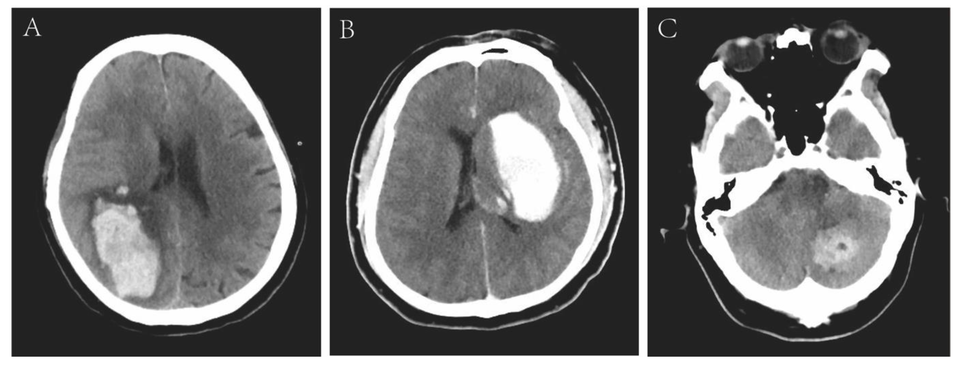 Diagnostics 13 02422 g002