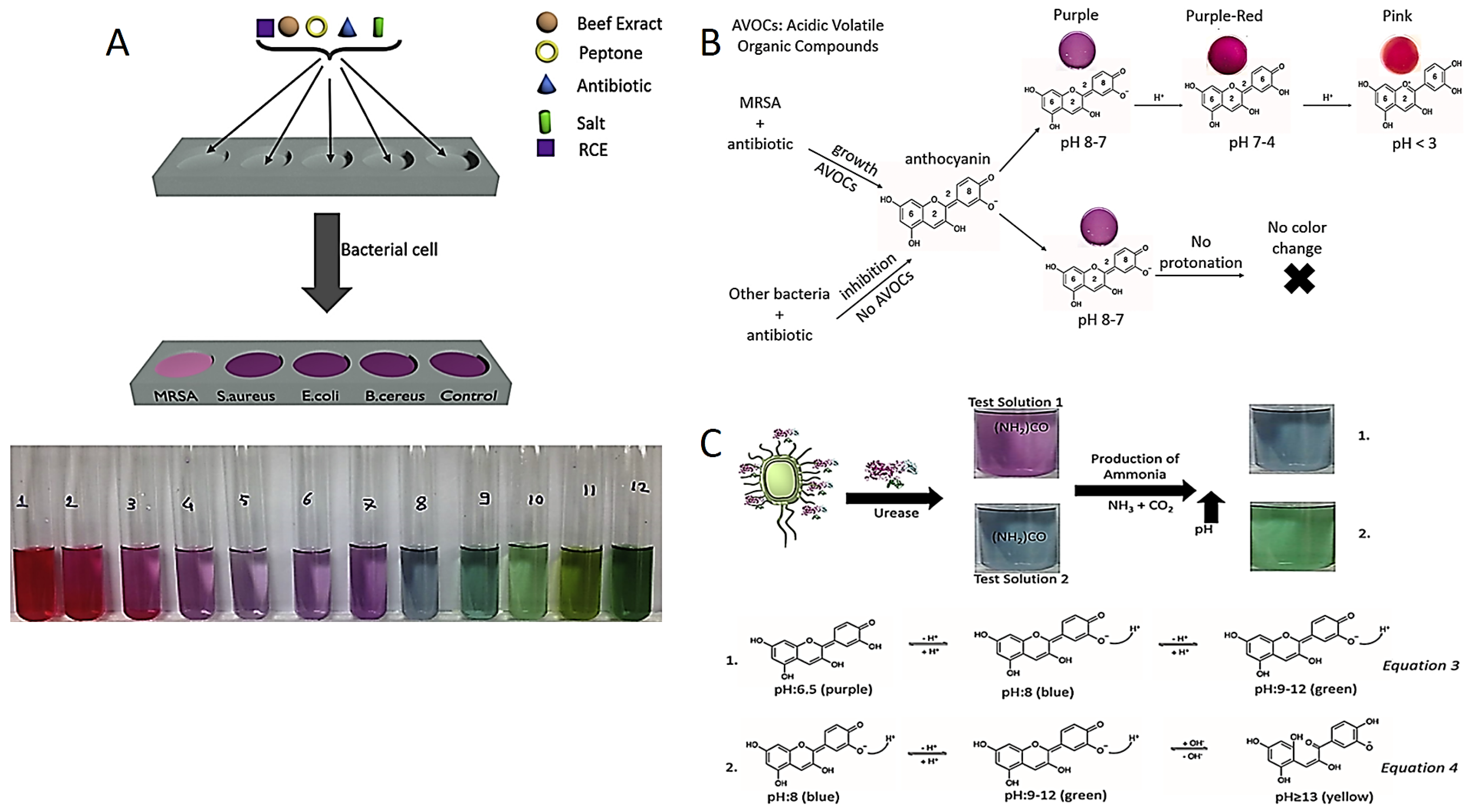 Diagnostics | Free Full-Text | Recent Advances in Colorimetric 