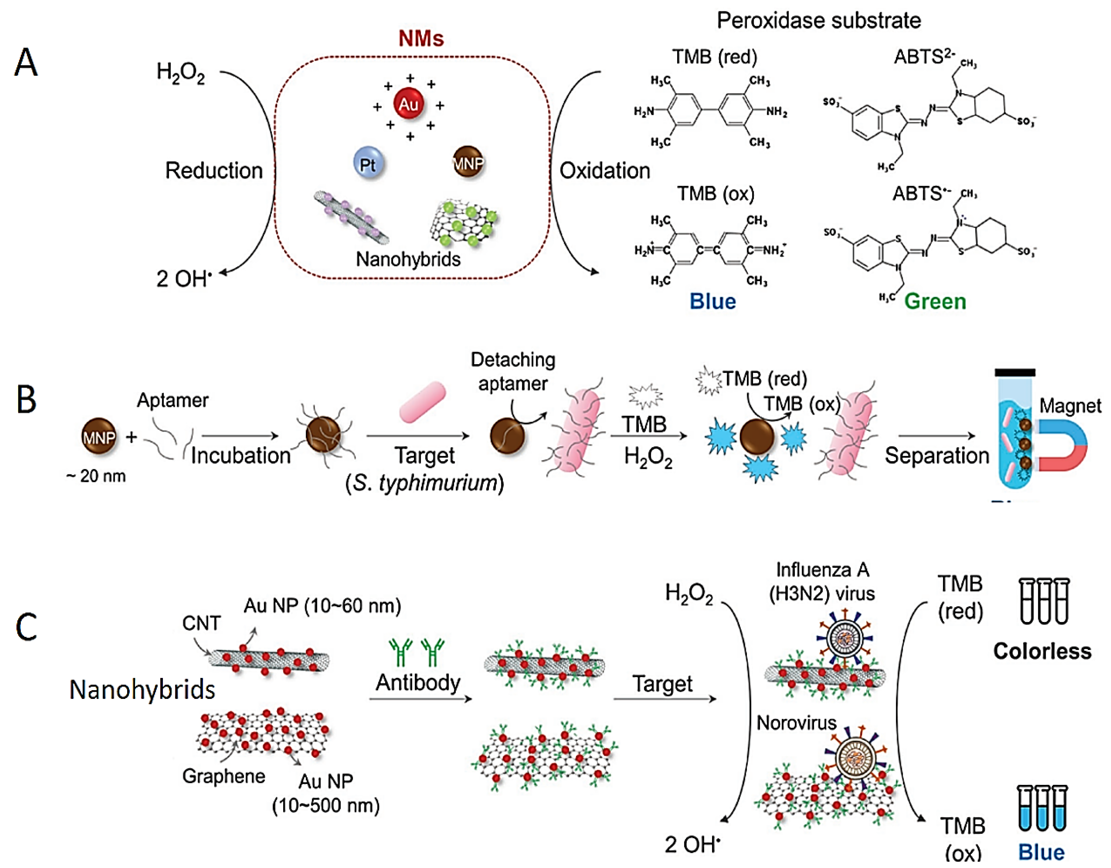Diagnostics 13 02427 g002 Diagnostics 13 02427 g002
