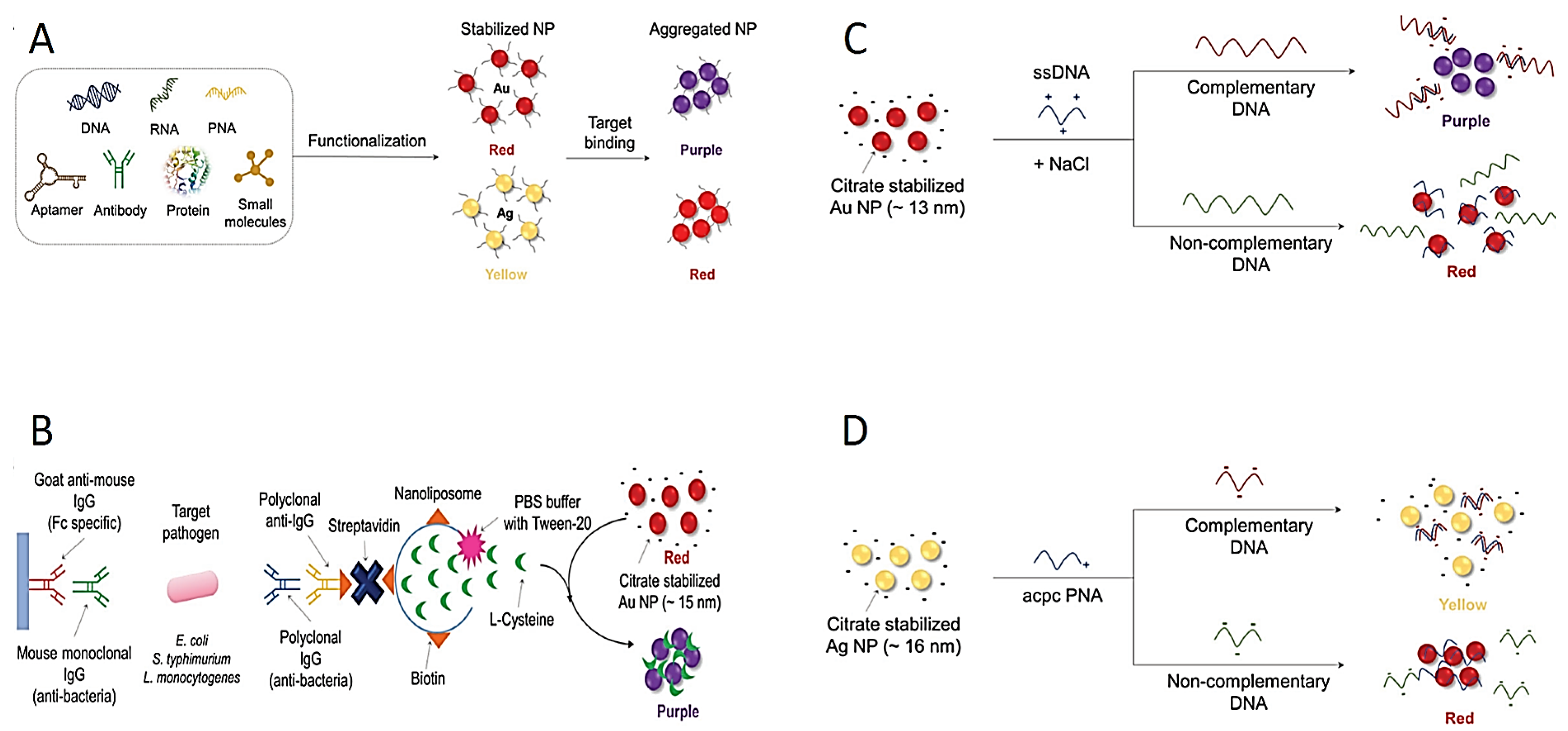 Diagnostics 13 02427 g003 Diagnostics 13 02427 g003