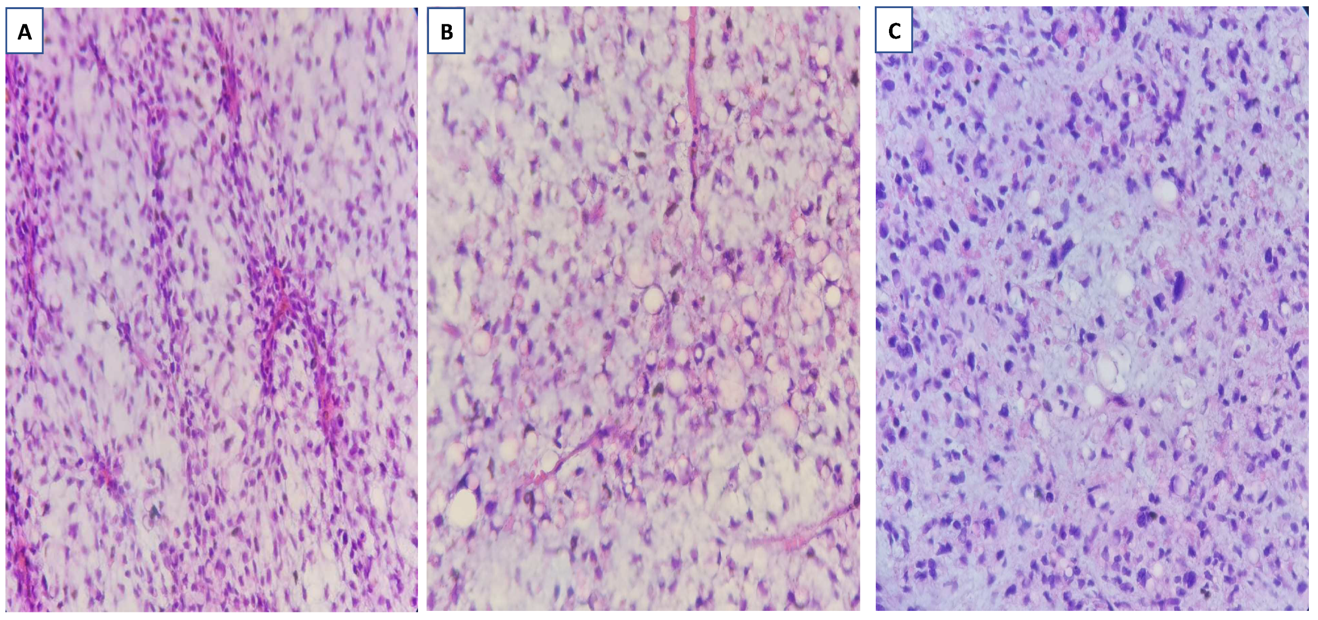 Diagnostics 13 02428 g004