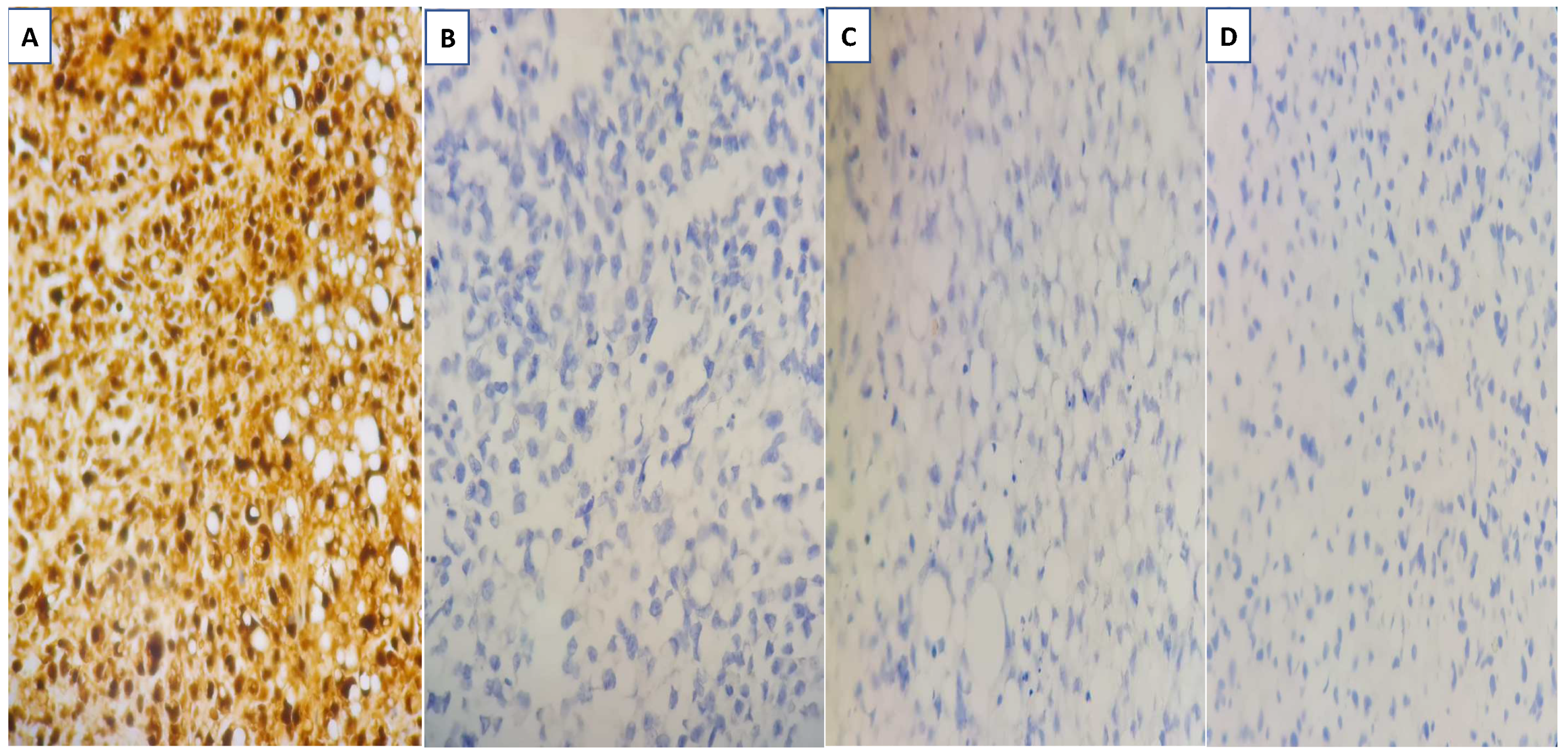 Diagnostics 13 02428 g005
