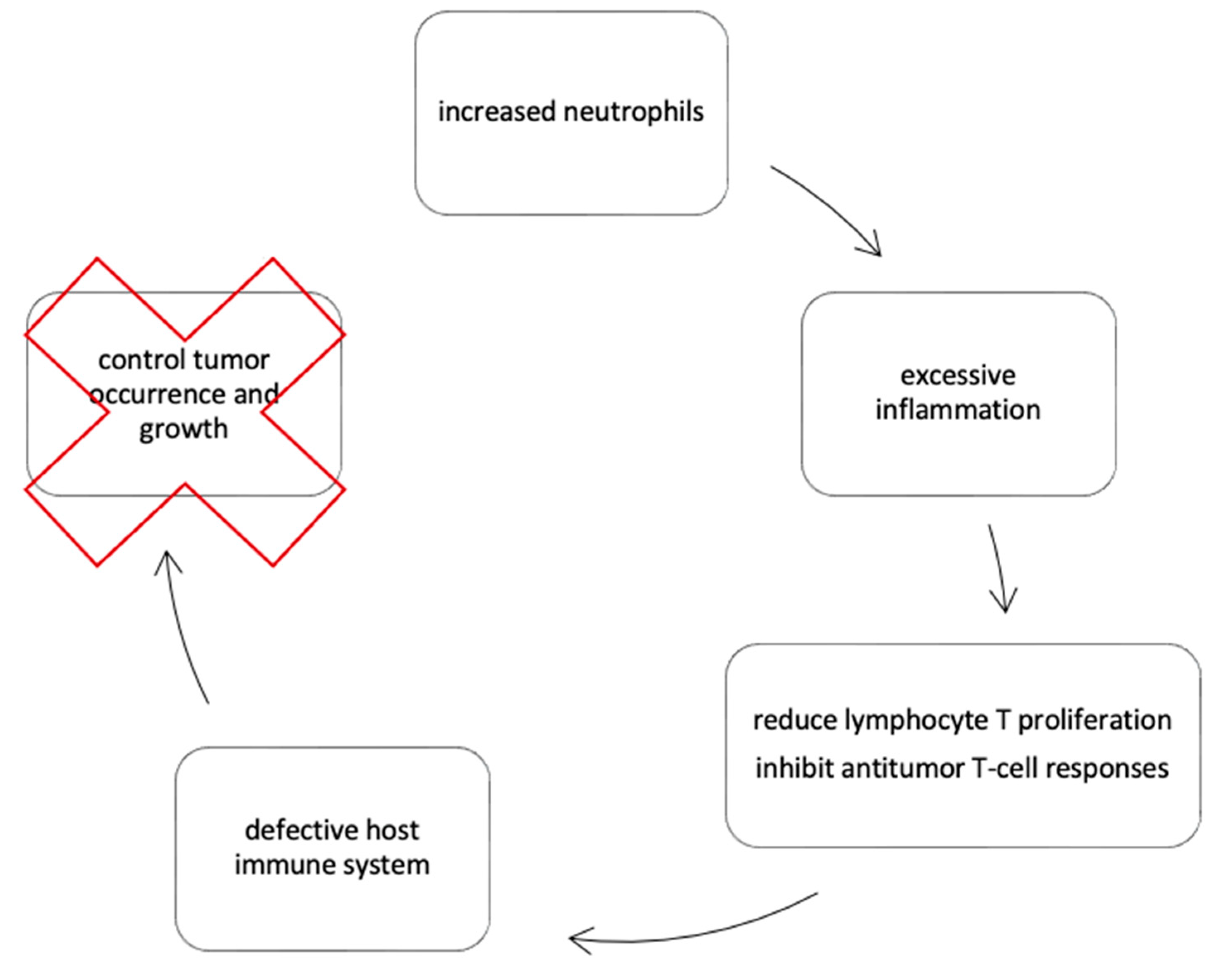Diagnostics 13 02430 g002
