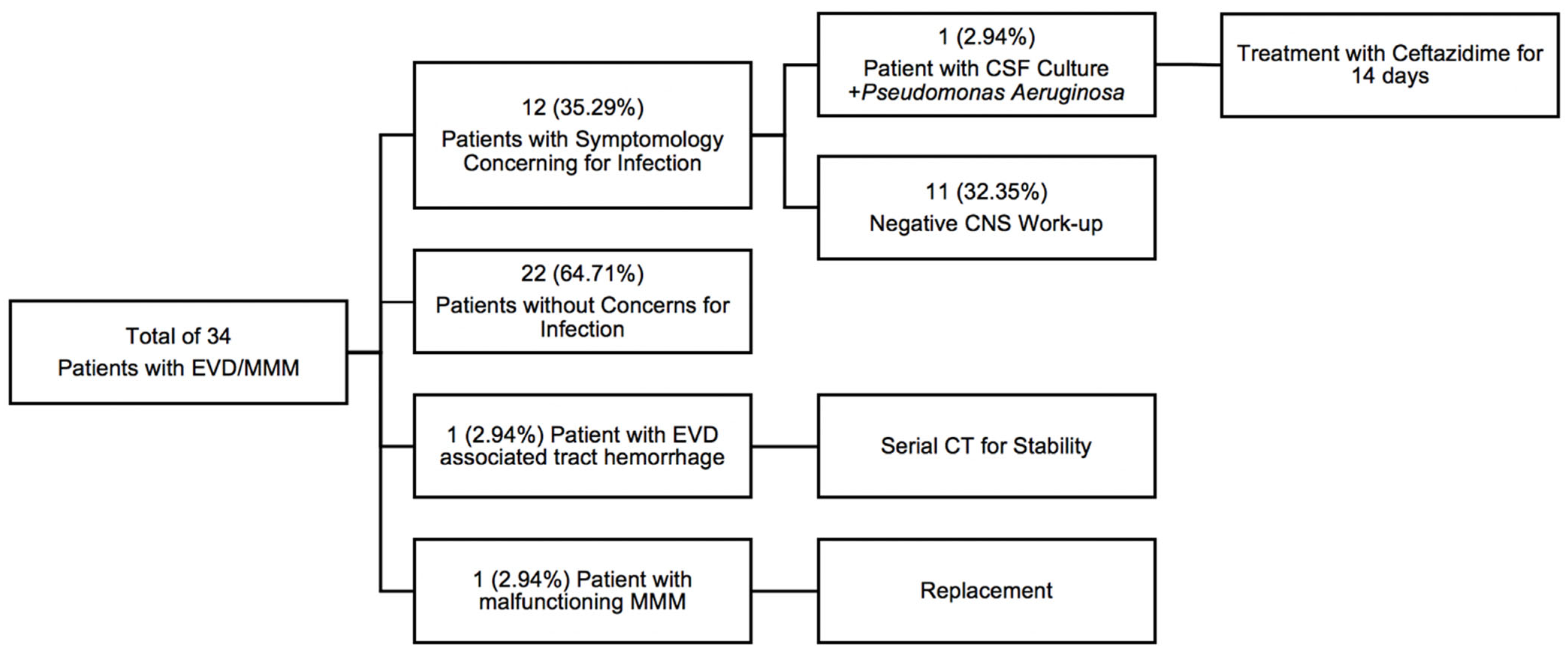 Diagnostics 13 02434 g003