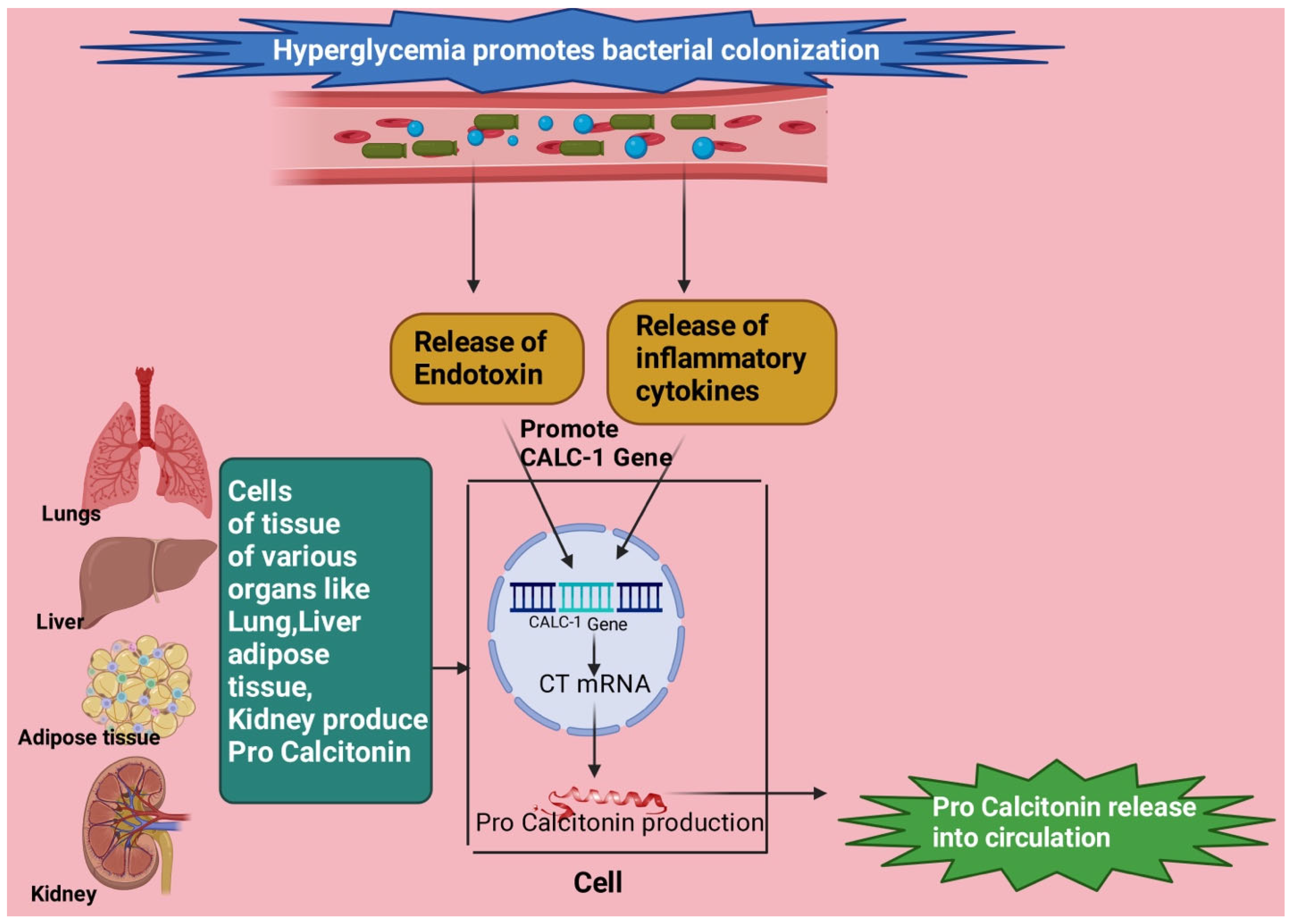 Diagnostics 13 02441 g003 Diagnostics 13 02441 g003