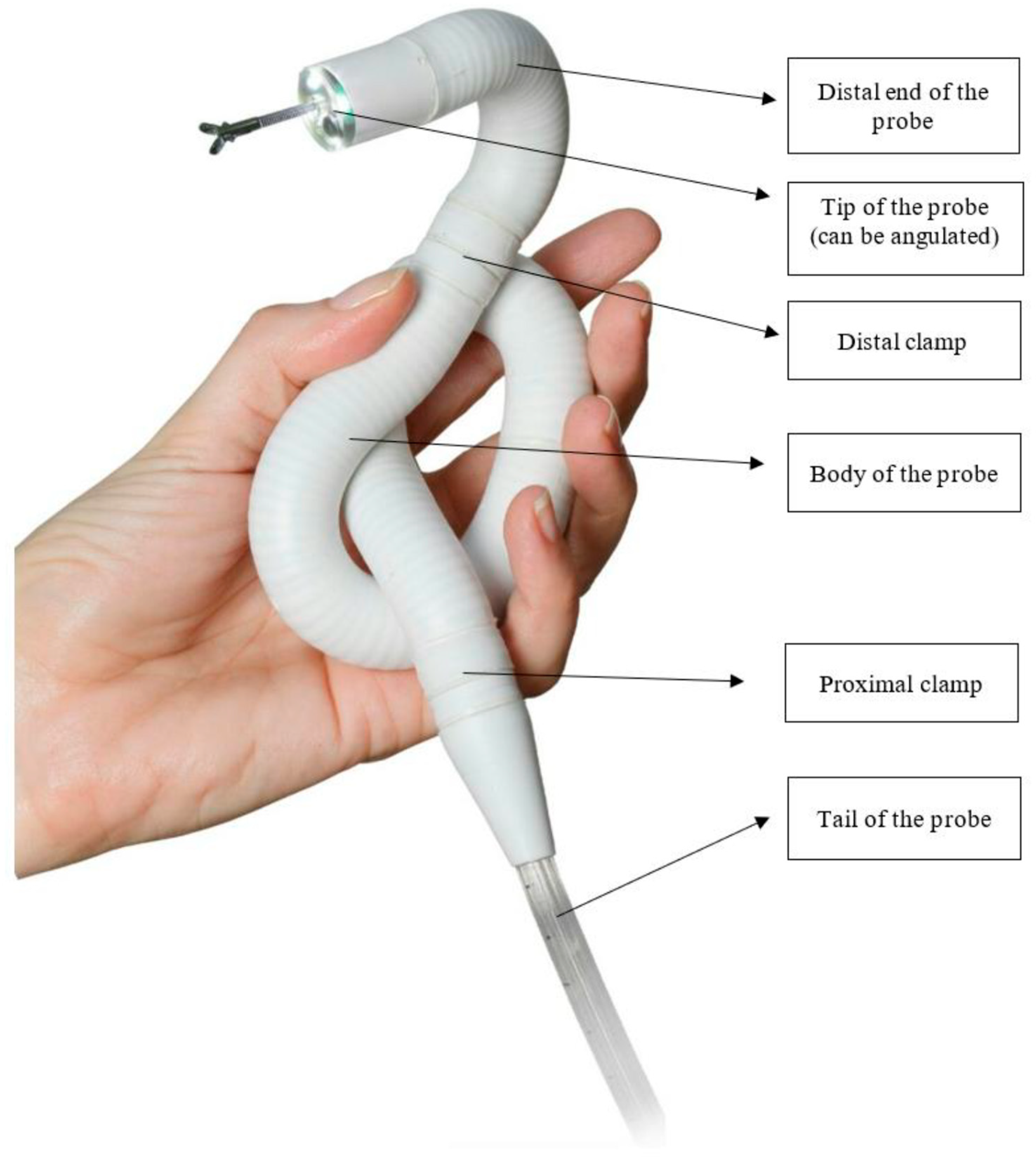Gastrointestinal Endoscopy: A Patient'S Guide - kxo0vpy