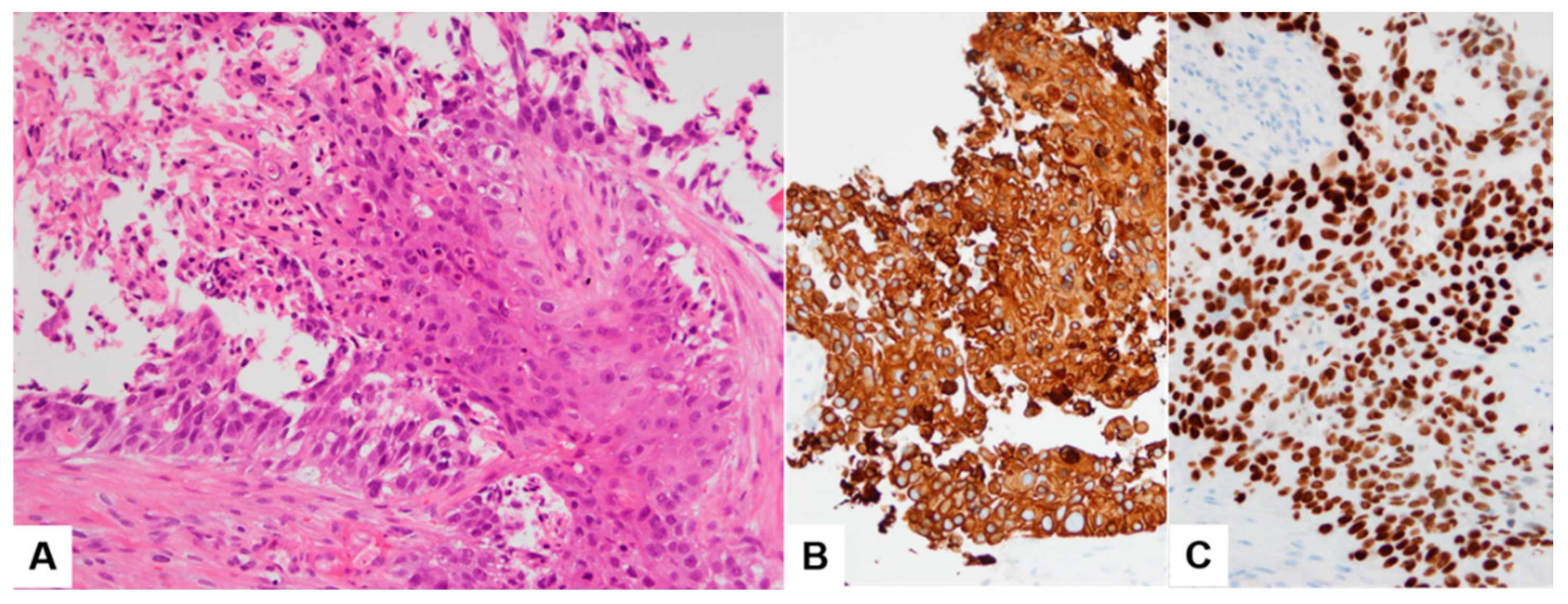 Diagnostics 13 02455 g003 Diagnostics 13 02455 g003