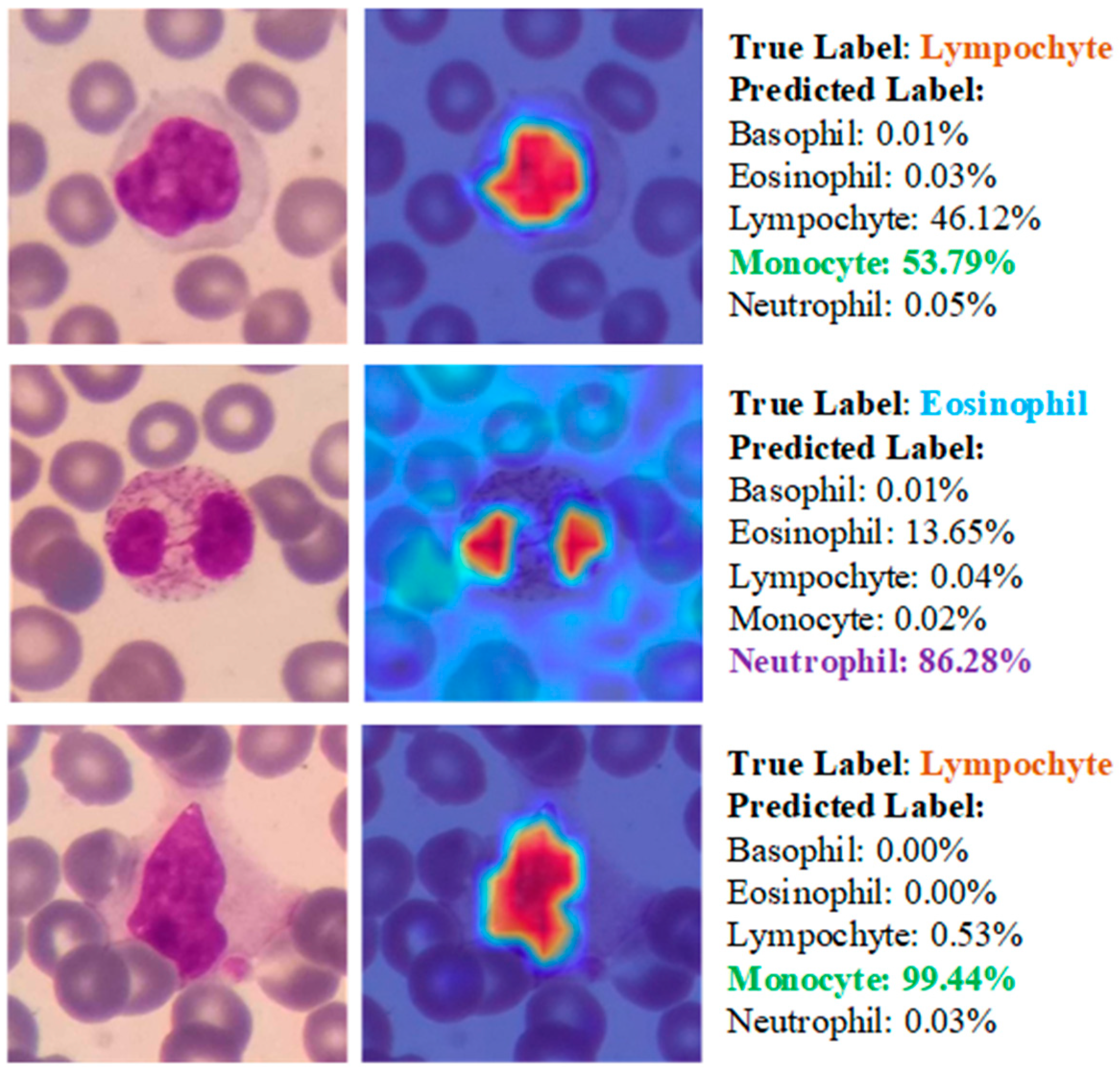 Diagnostics 13 02459 g012