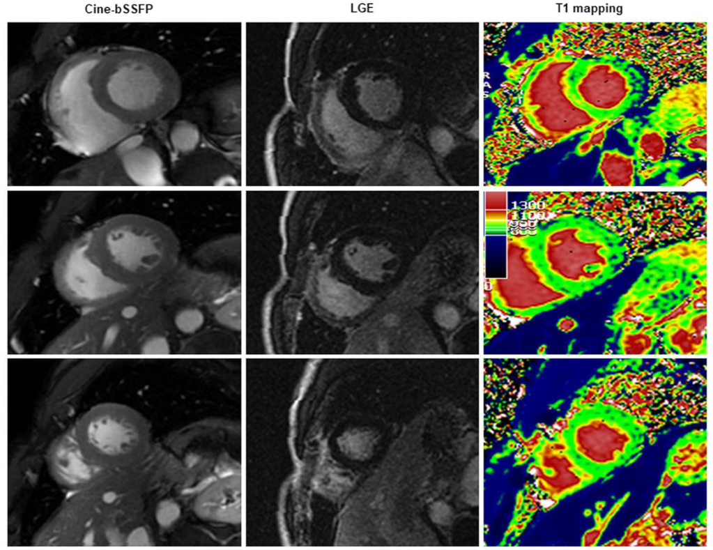Diagnostics 13 02461 g005 Diagnostics 13 02461 g005