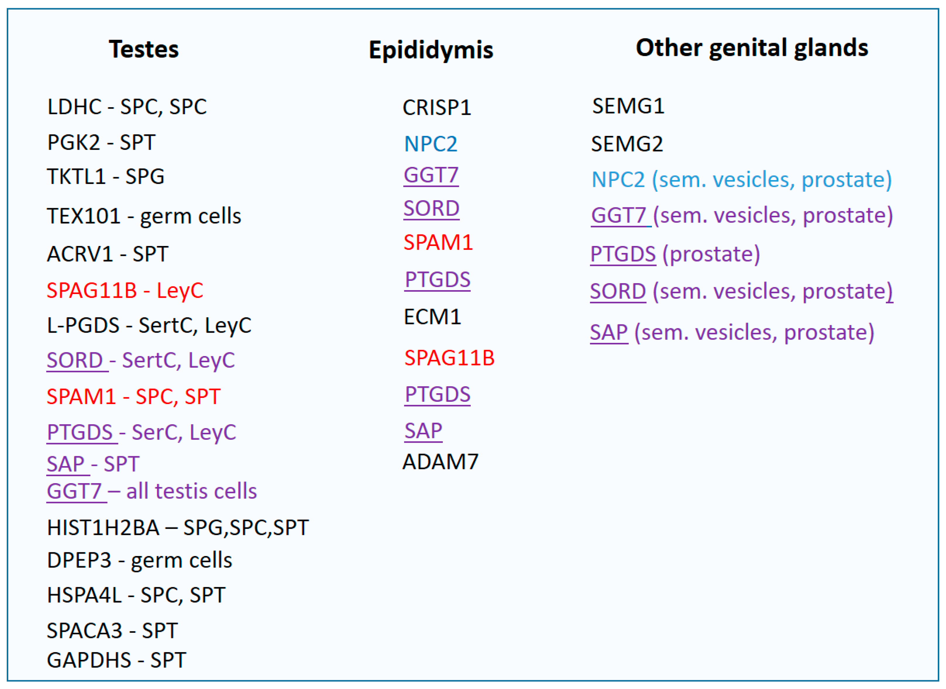 Diagnostics 13 02468 g003 Diagnostics 13 02468 g003