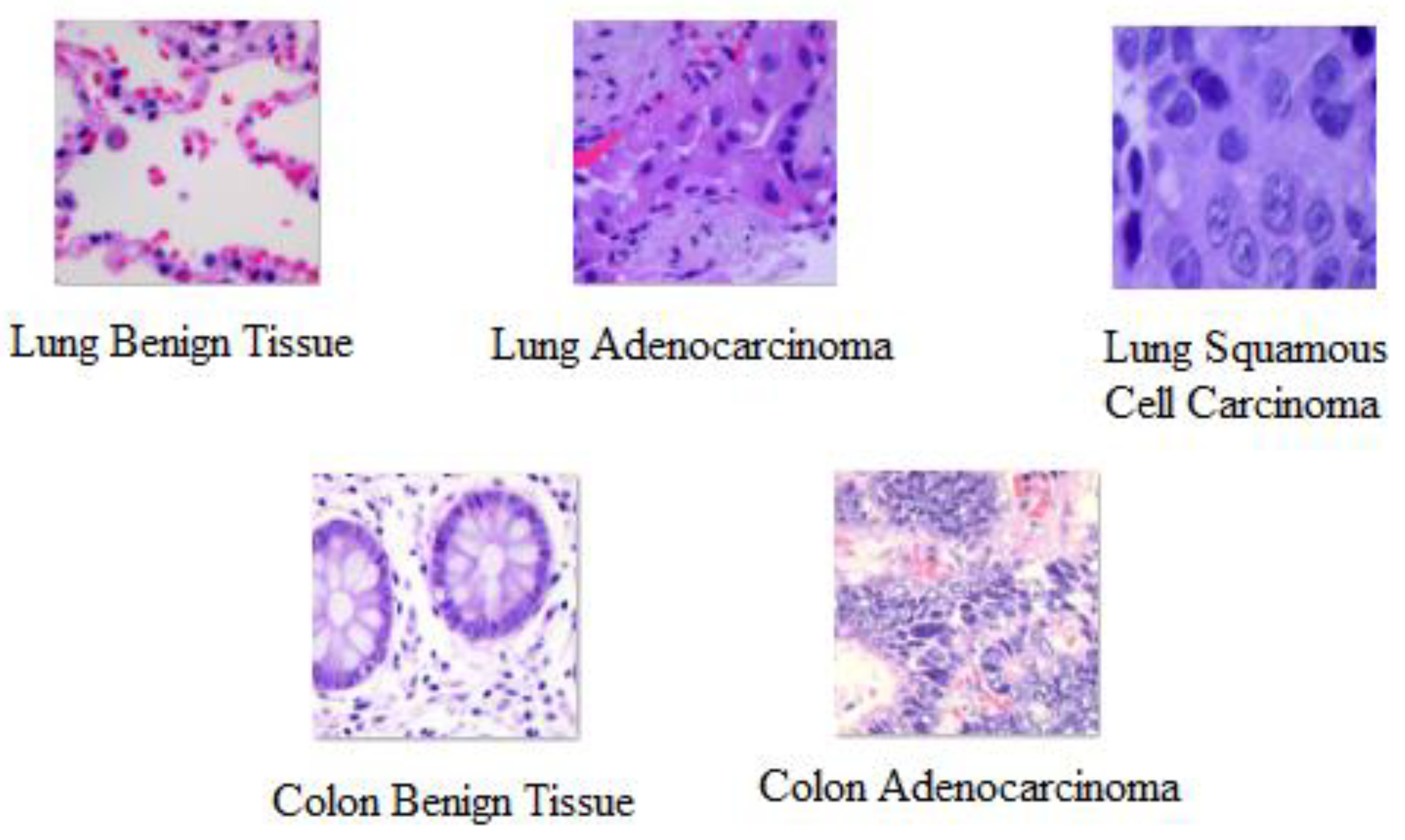 Diagnostics 13 02469 g001 Diagnostics 13 02469 g001