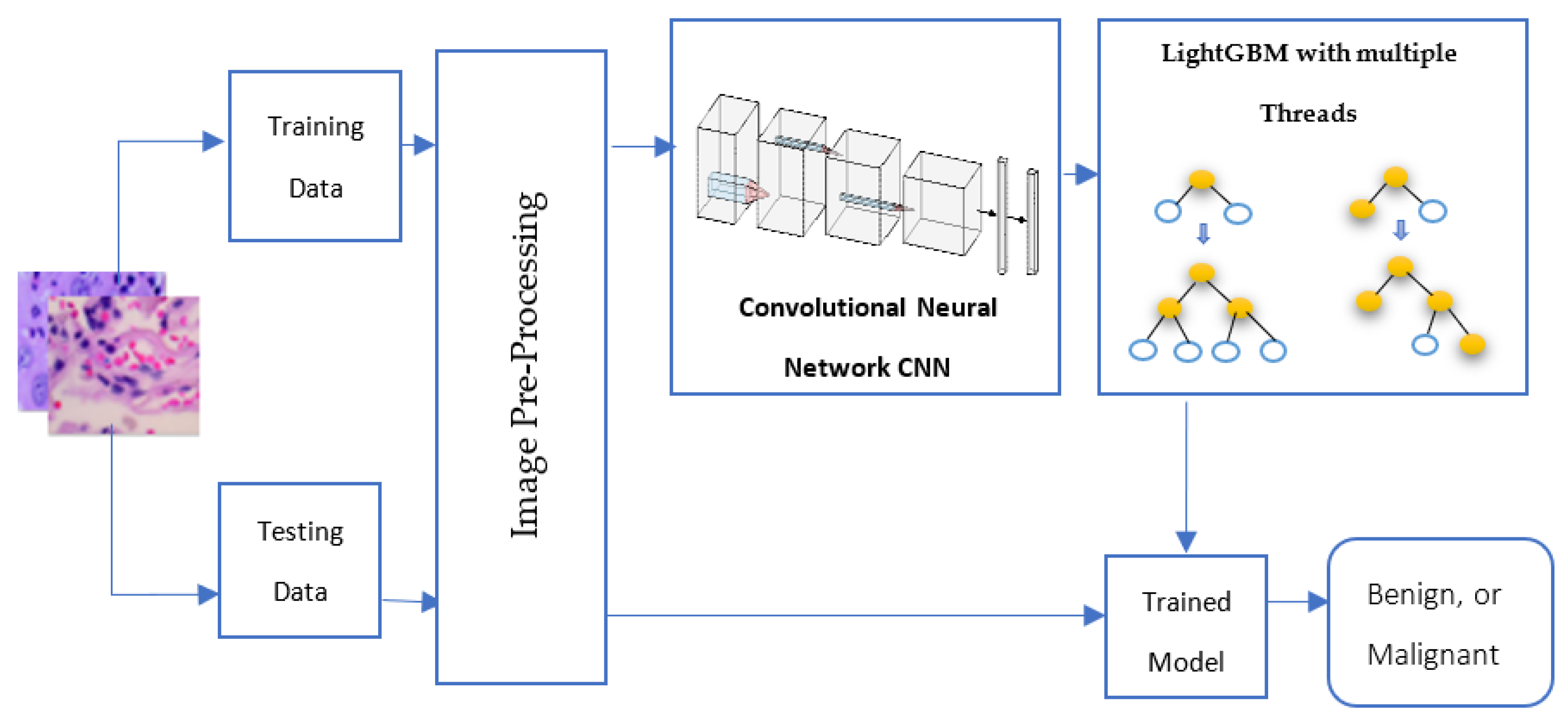 Diagnostics 13 02469 g003 Diagnostics 13 02469 g003