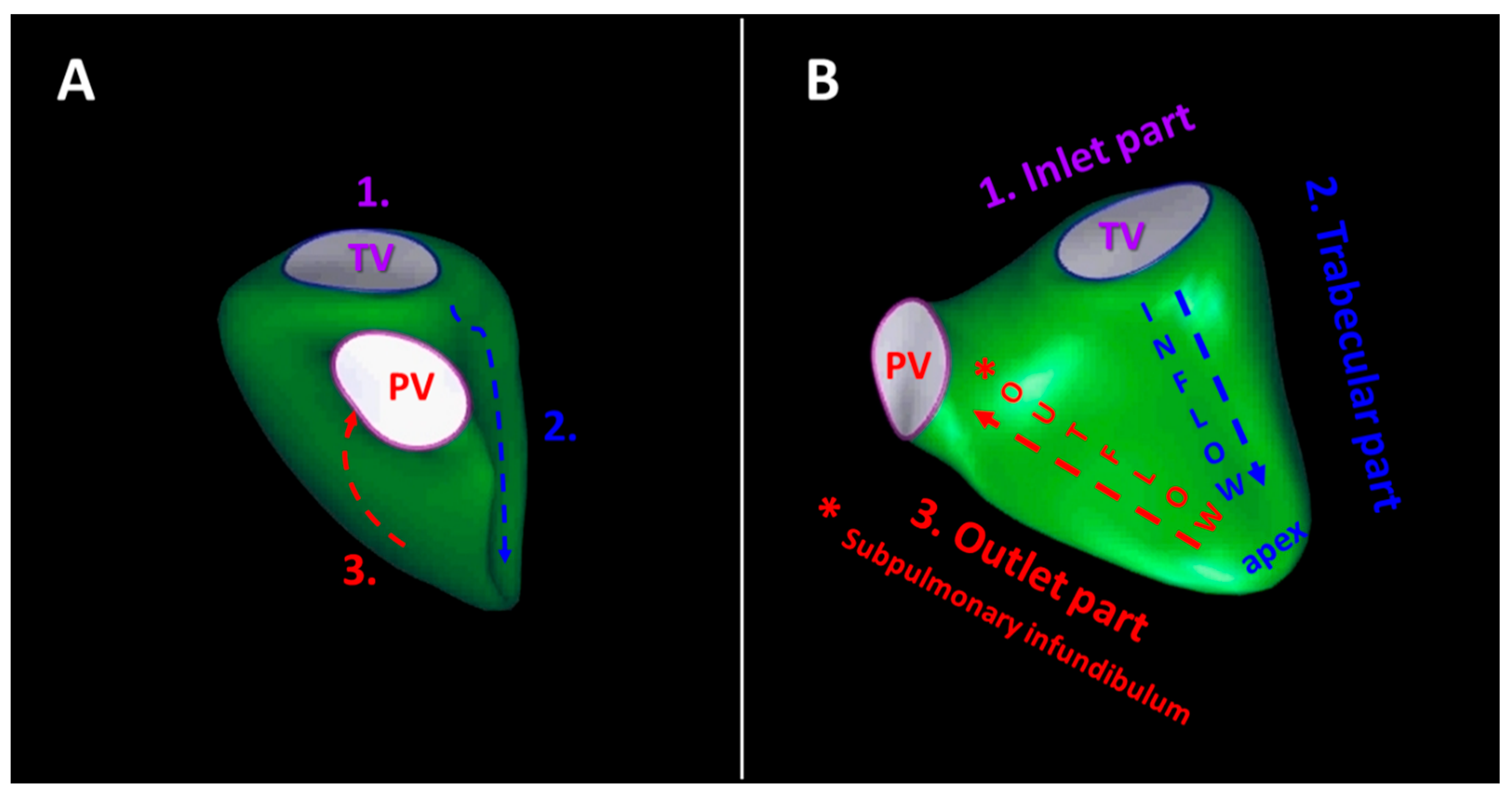Diagnostics 13 02470 g001 Diagnostics 13 02470 g001