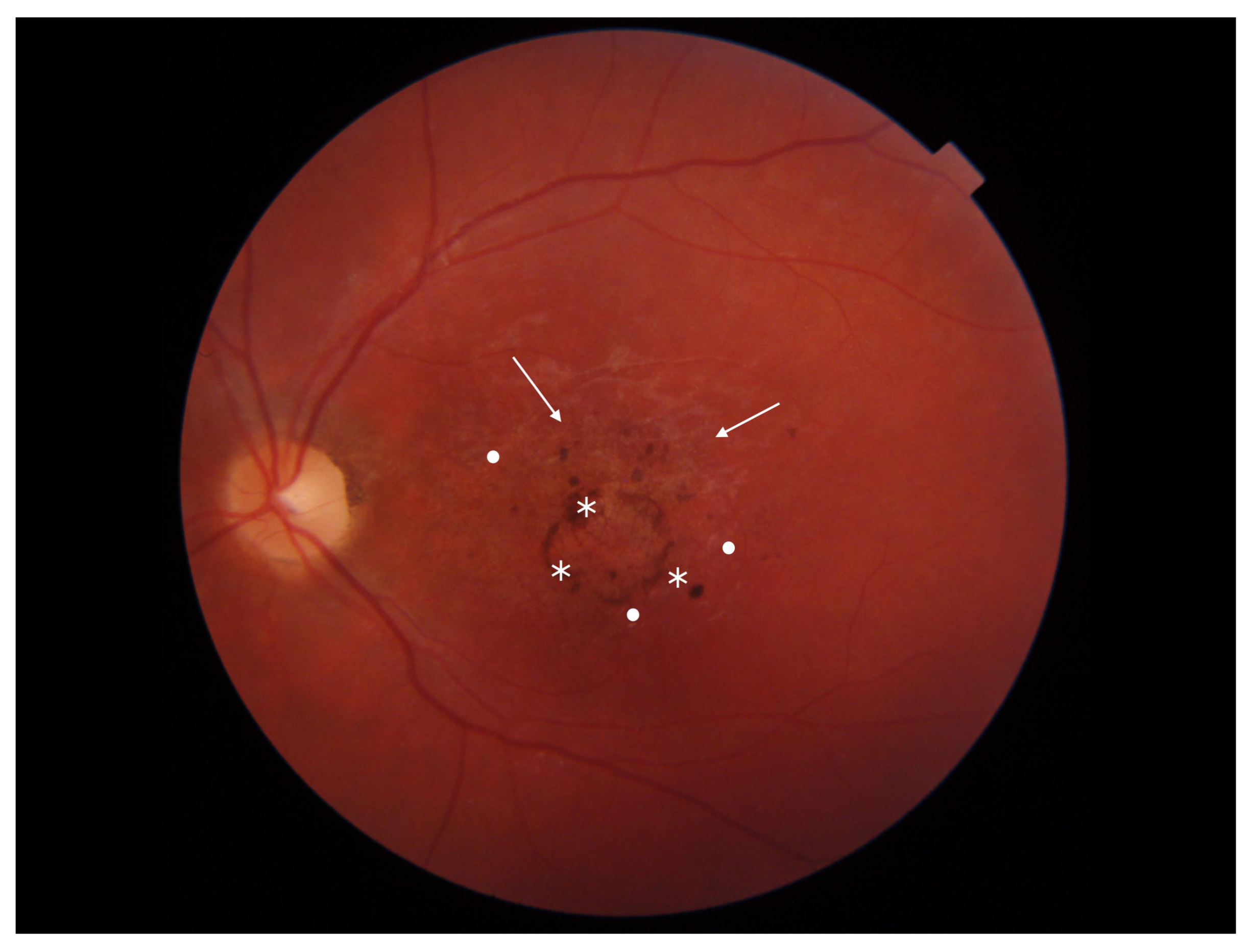 Diagnostics 13 02472 g001