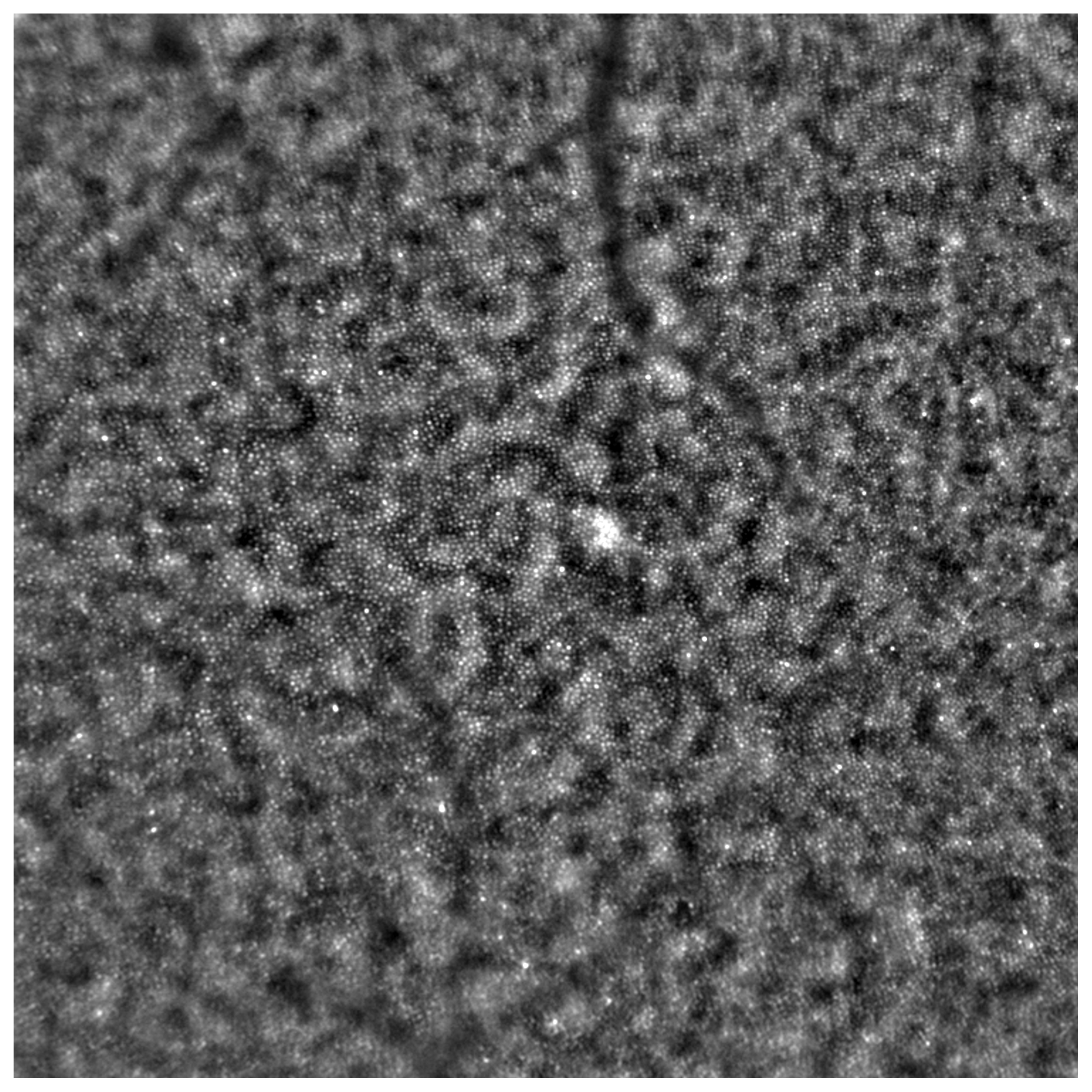 Diagnostics 13 02472 g002