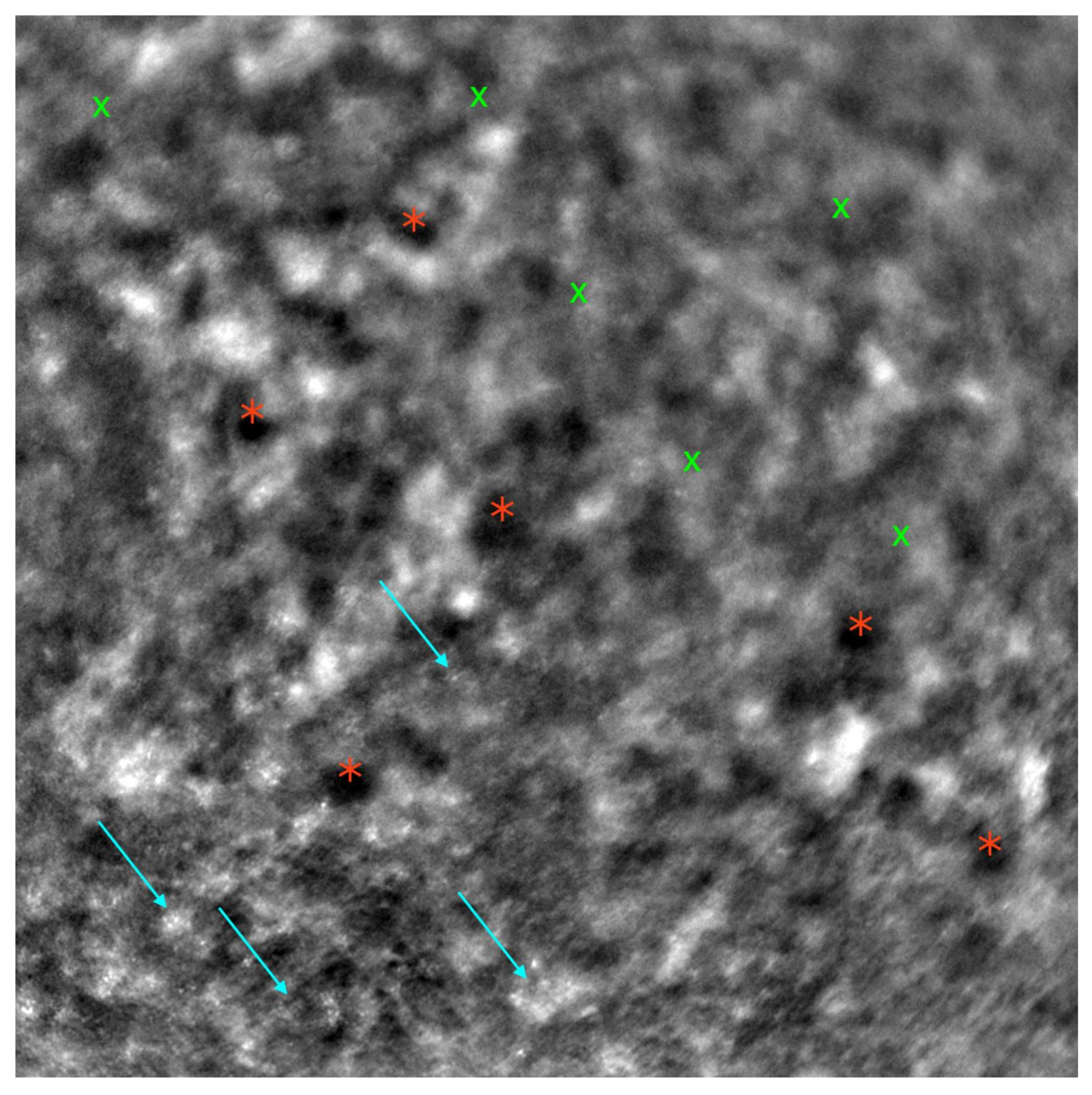 Diagnostics 13 02472 g003