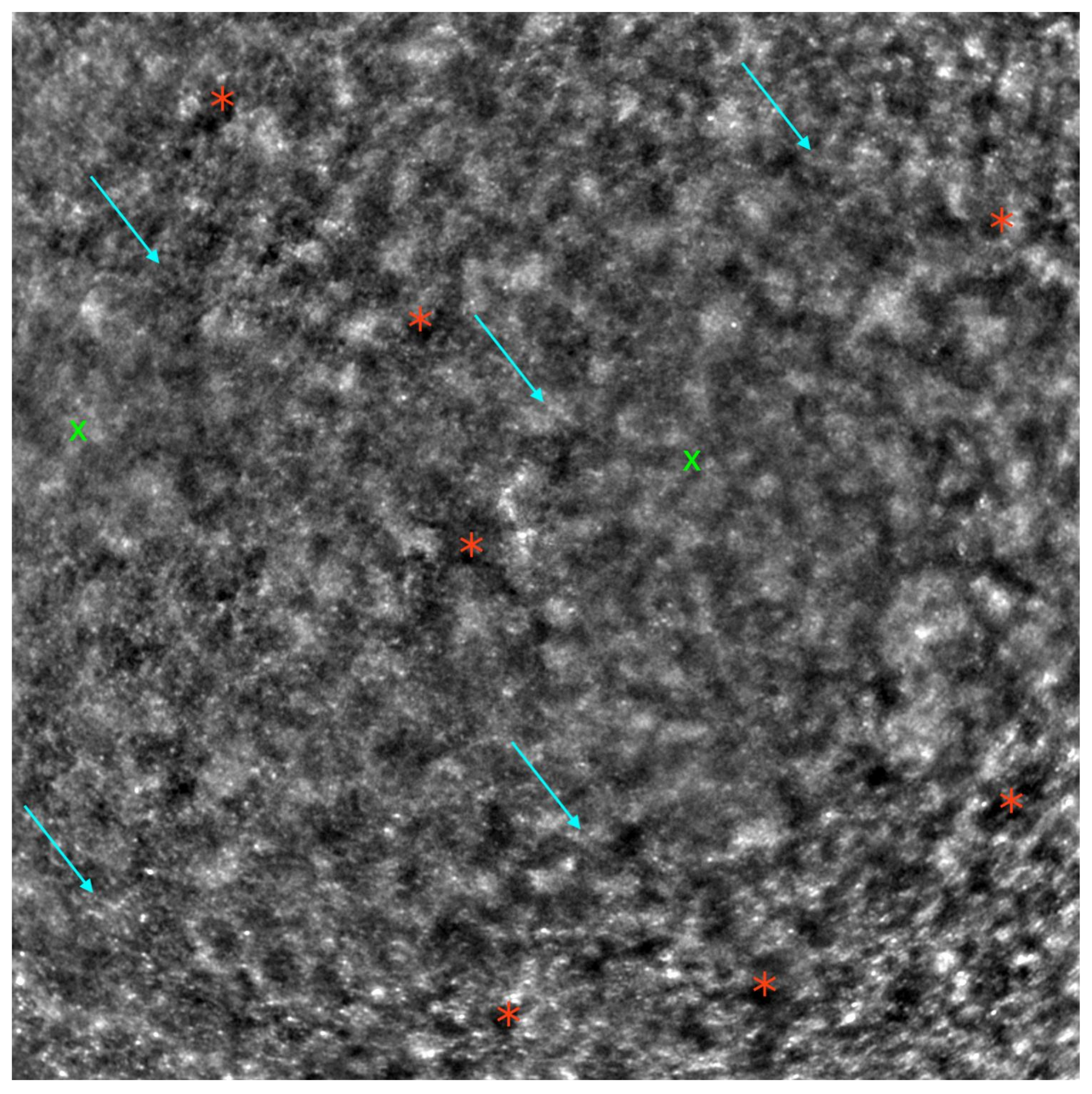 Diagnostics 13 02472 g006