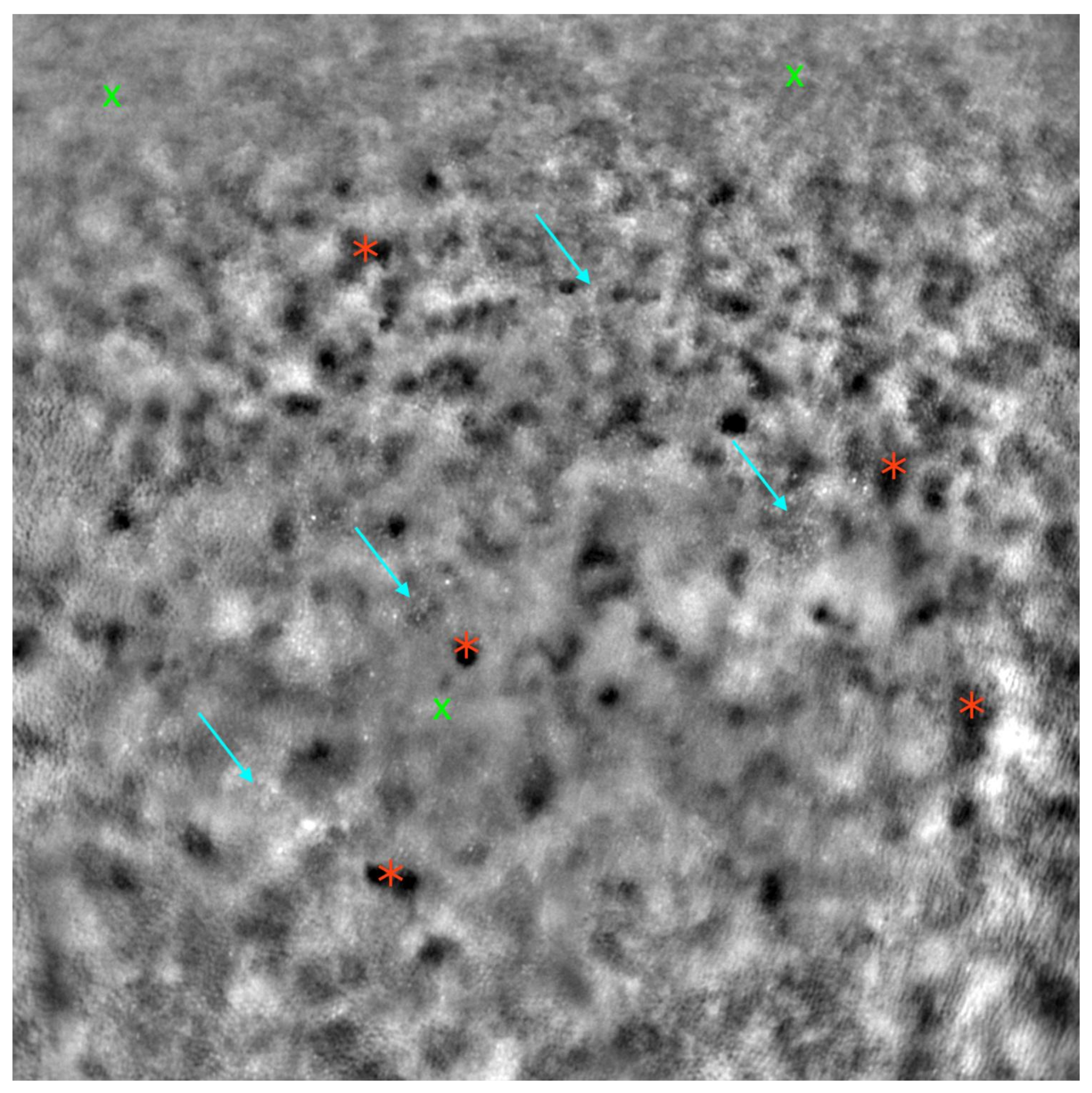 Diagnostics 13 02472 g007