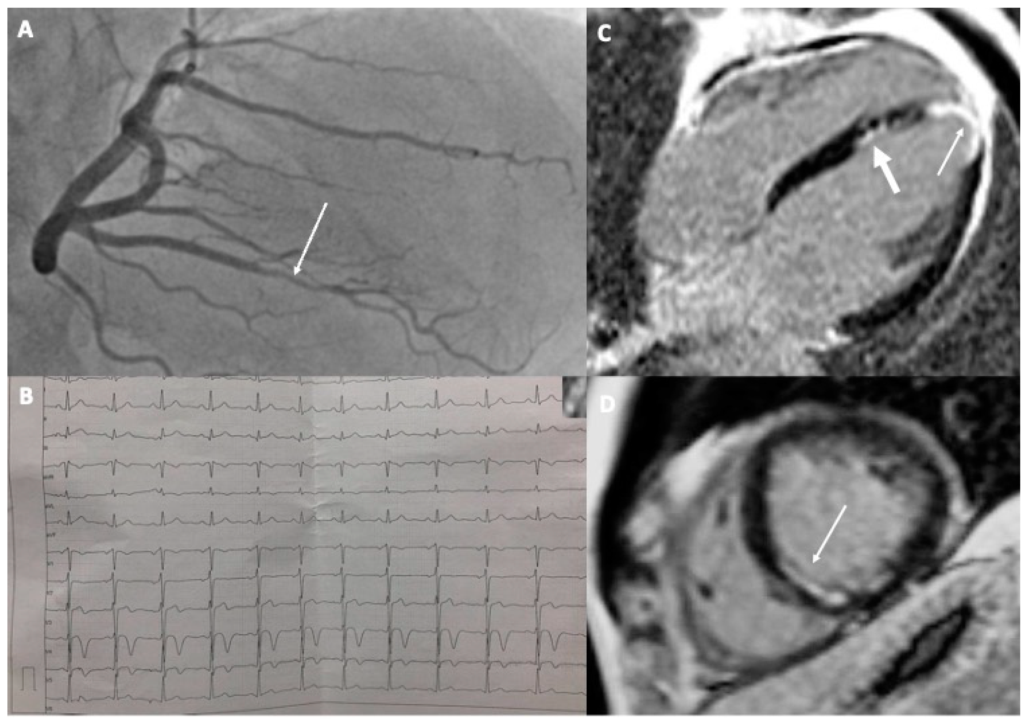 Diagnostics 13 02473 g001 Diagnostics 13 02473 g001