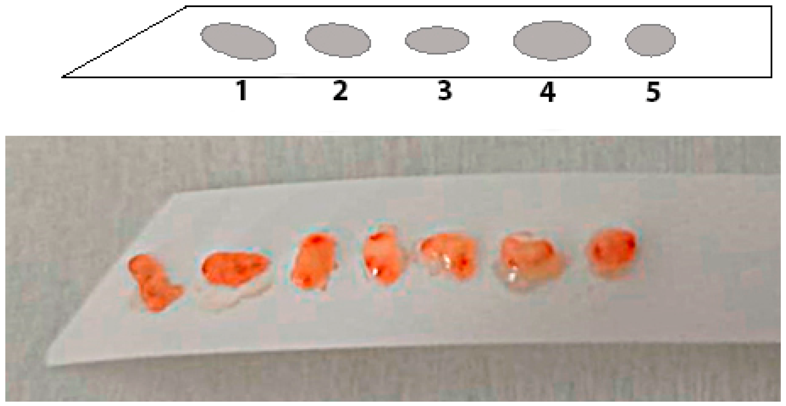 Diagnostics 13 02478 g001 Diagnostics 13 02478 g001