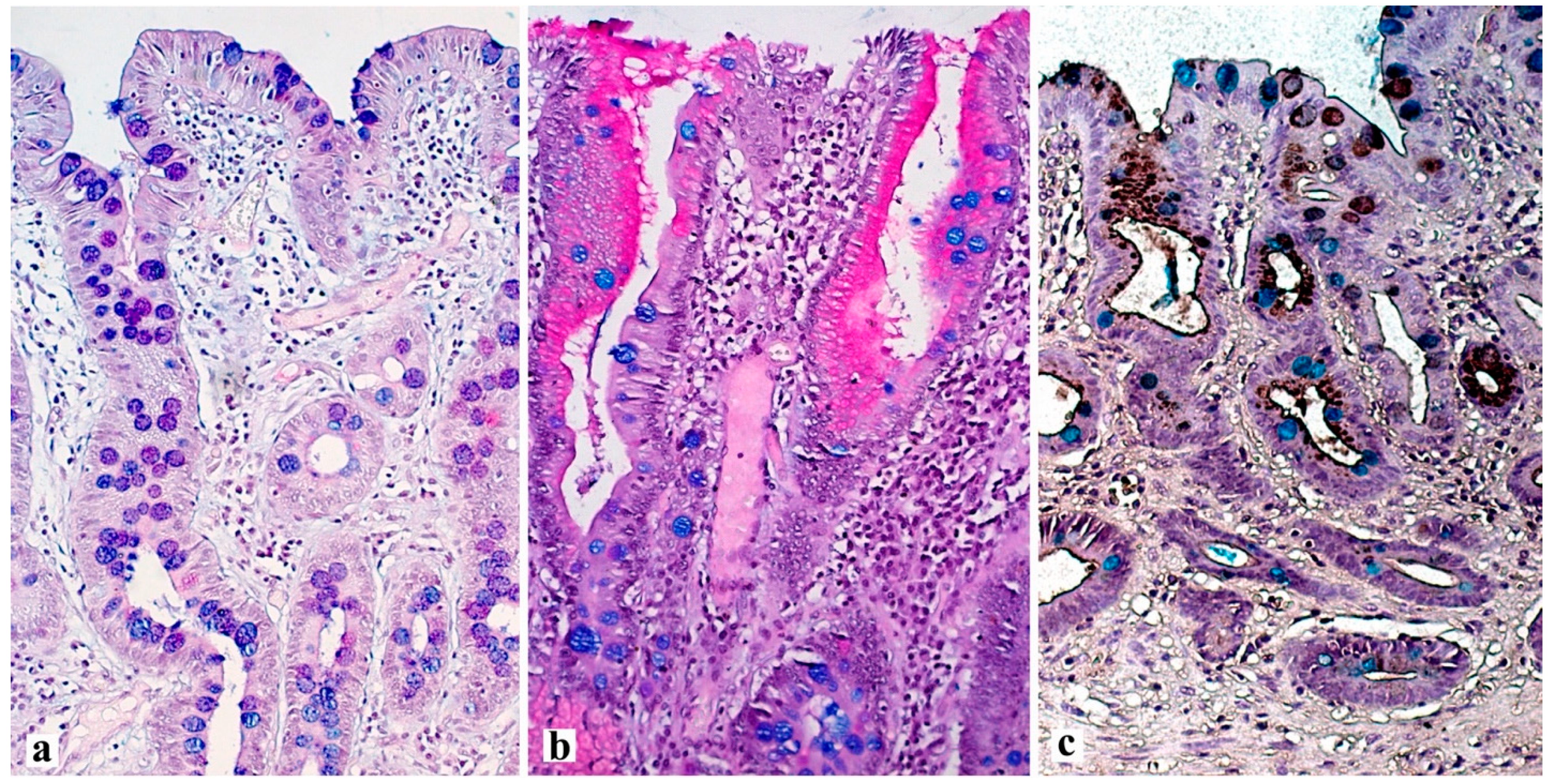 Diagnostics 13 02478 g002 Diagnostics 13 02478 g002