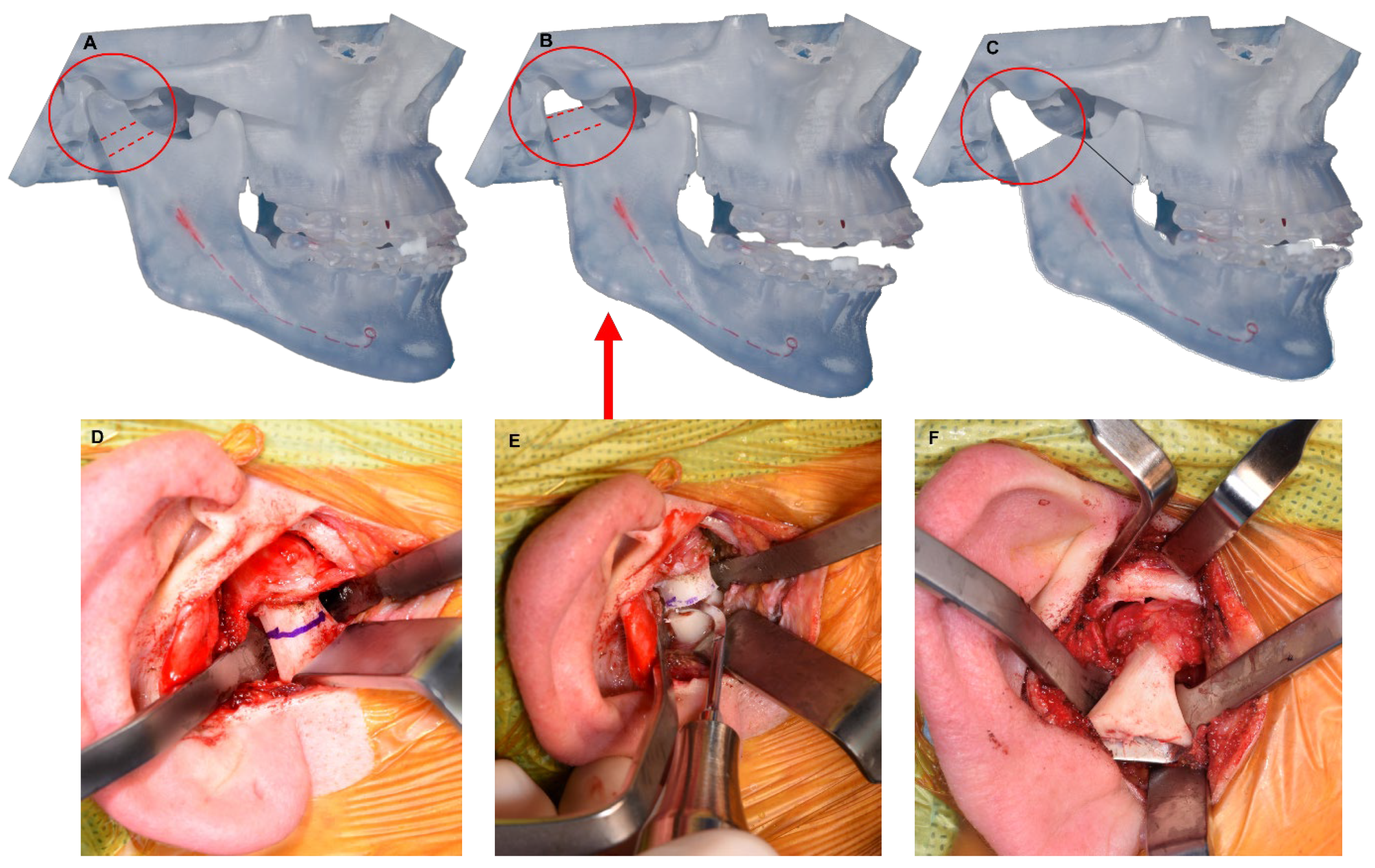 Diagnostics 13 02486 g004
