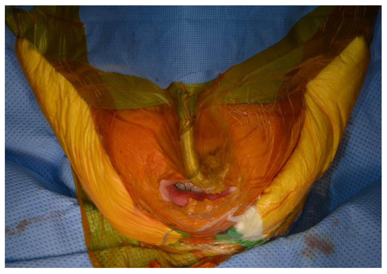 Diagnostics 13 02486 g009