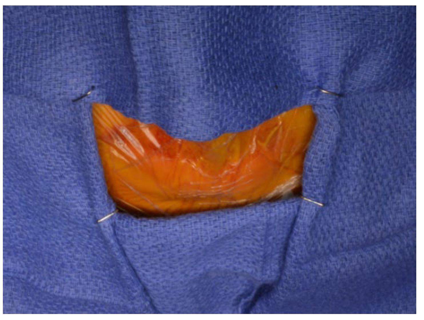 Diagnostics 13 02486 g010