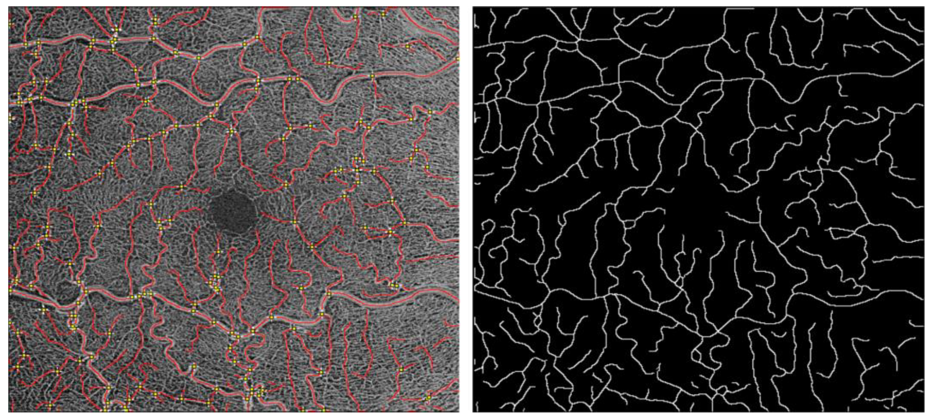 Diagnostics 13 02496 g001 Diagnostics 13 02496 g001