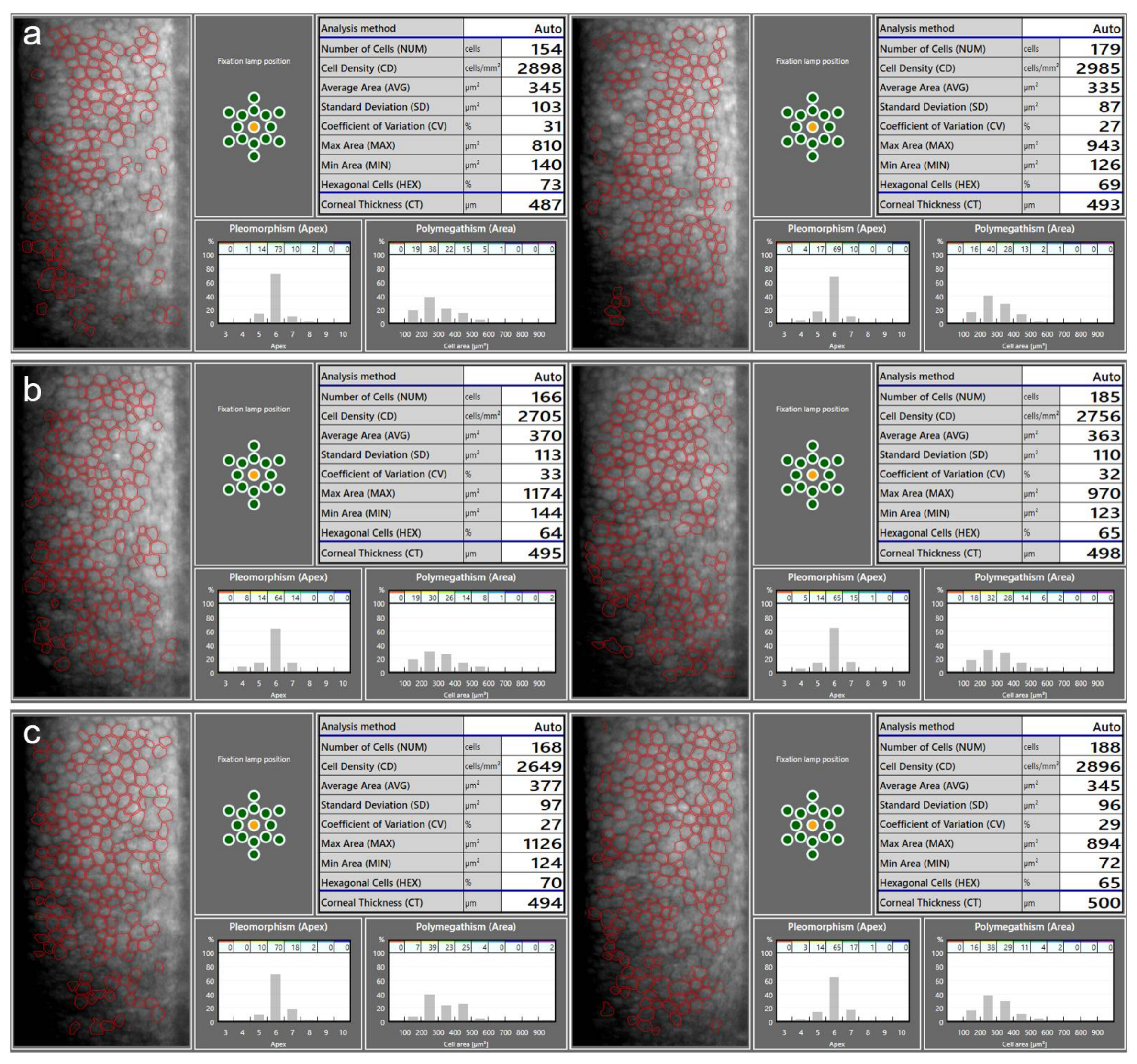 Diagnostics 13 02503 g001 Diagnostics 13 02503 g001