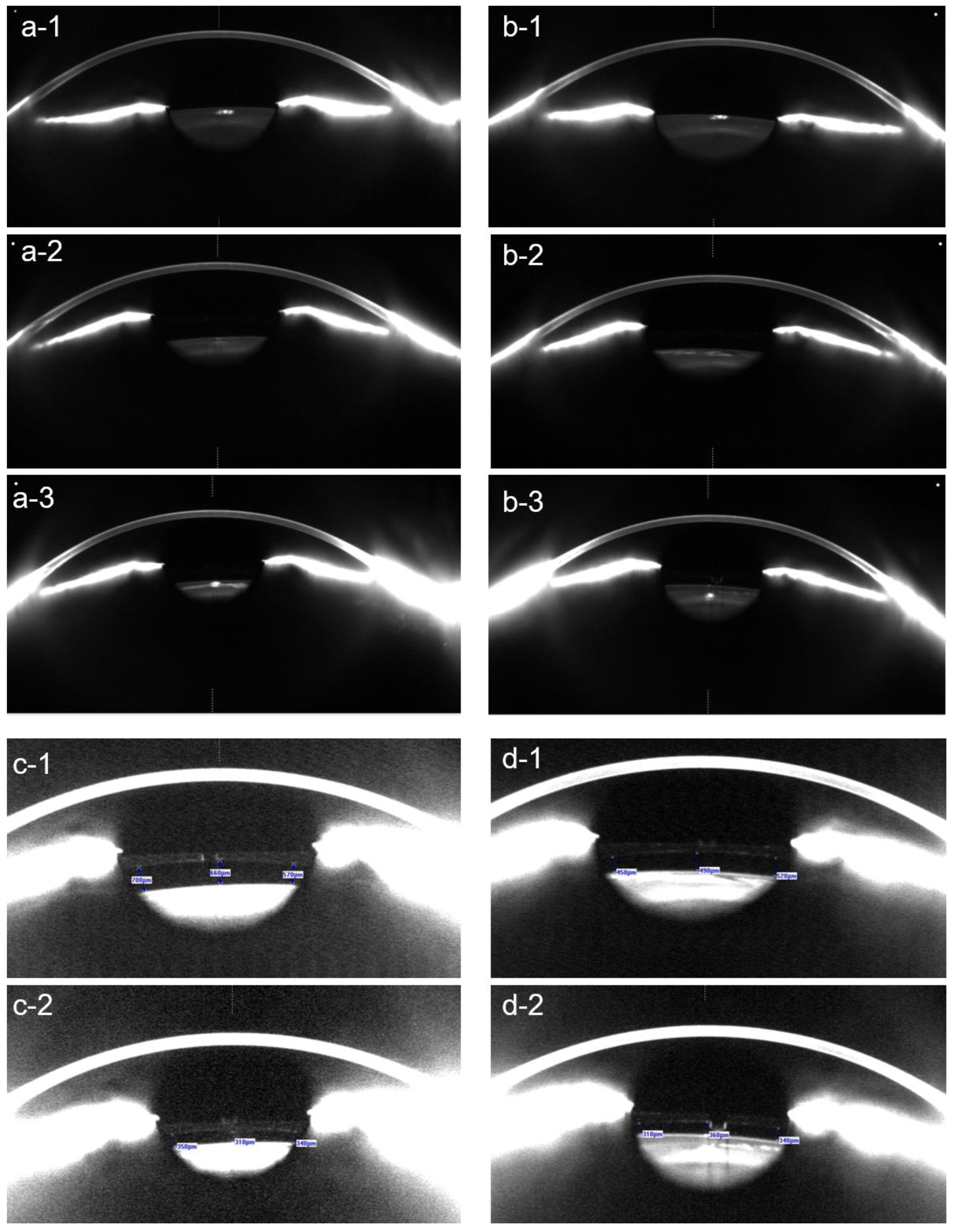 Diagnostics 13 02503 g006 Diagnostics 13 02503 g006