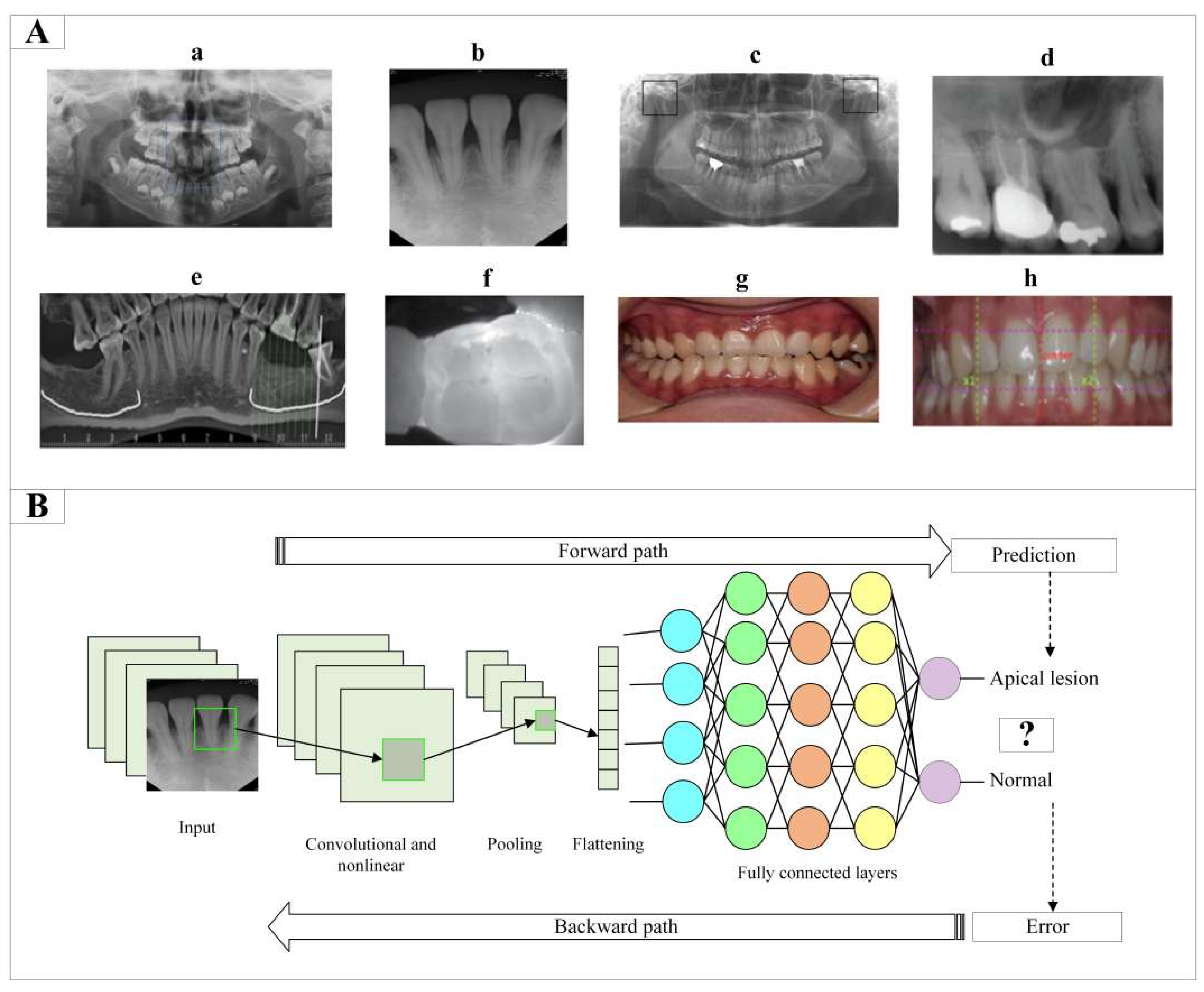 AI for efficiency, reliability and accuracy in practice - Dentistry