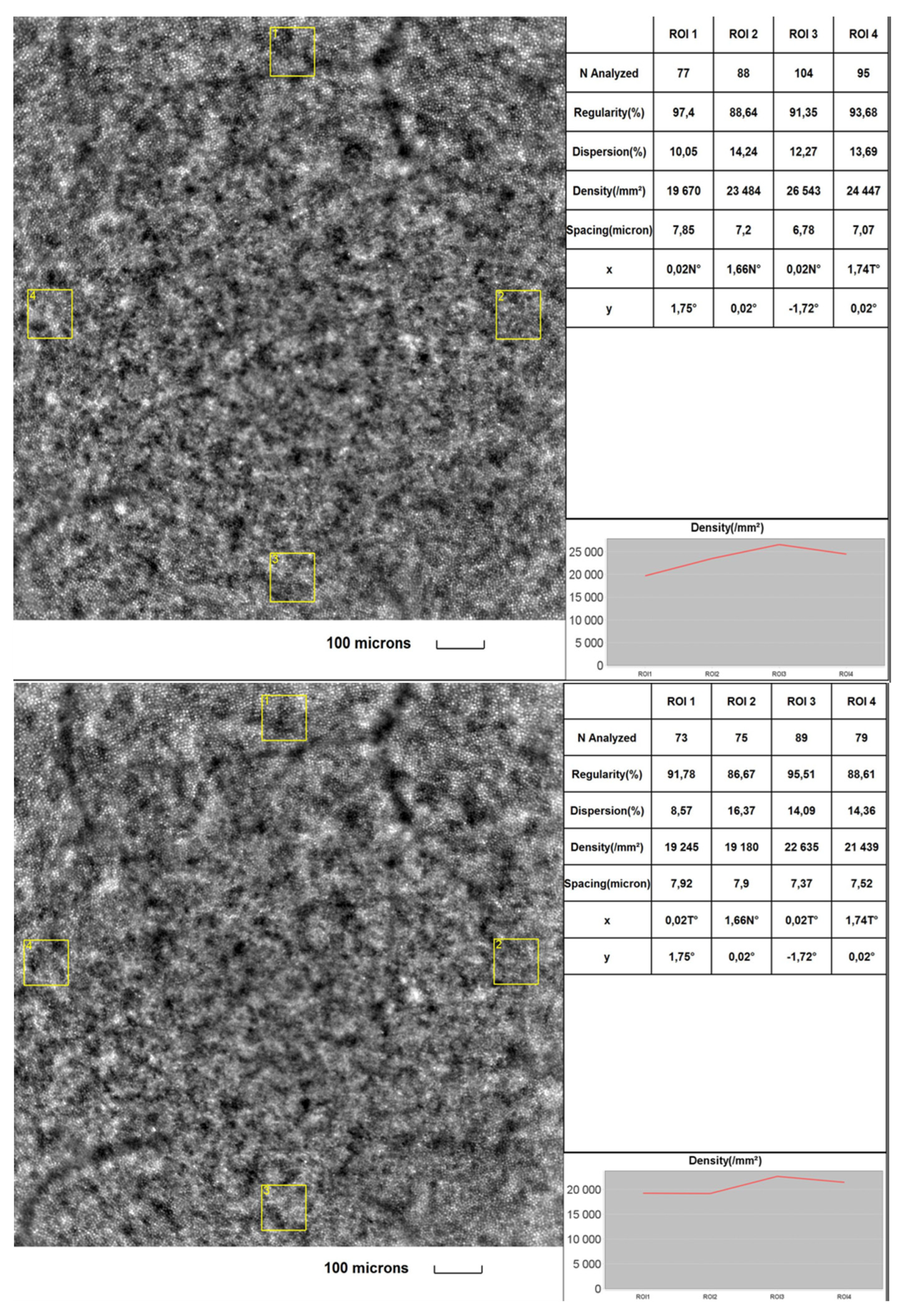 Diagnostics 13 02513 g001