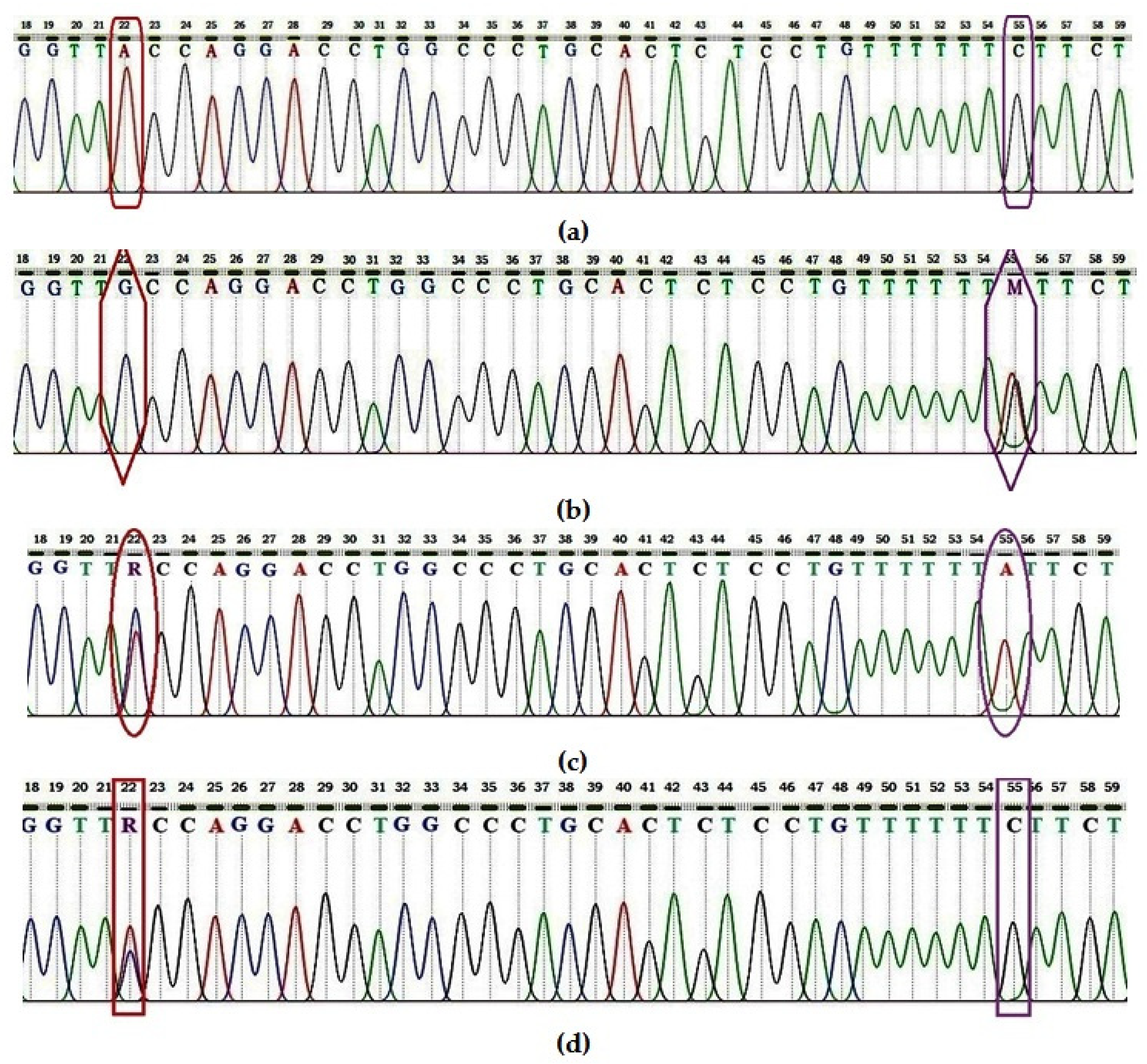 Diagnostics 13 02517 g001 Diagnostics 13 02517 g001