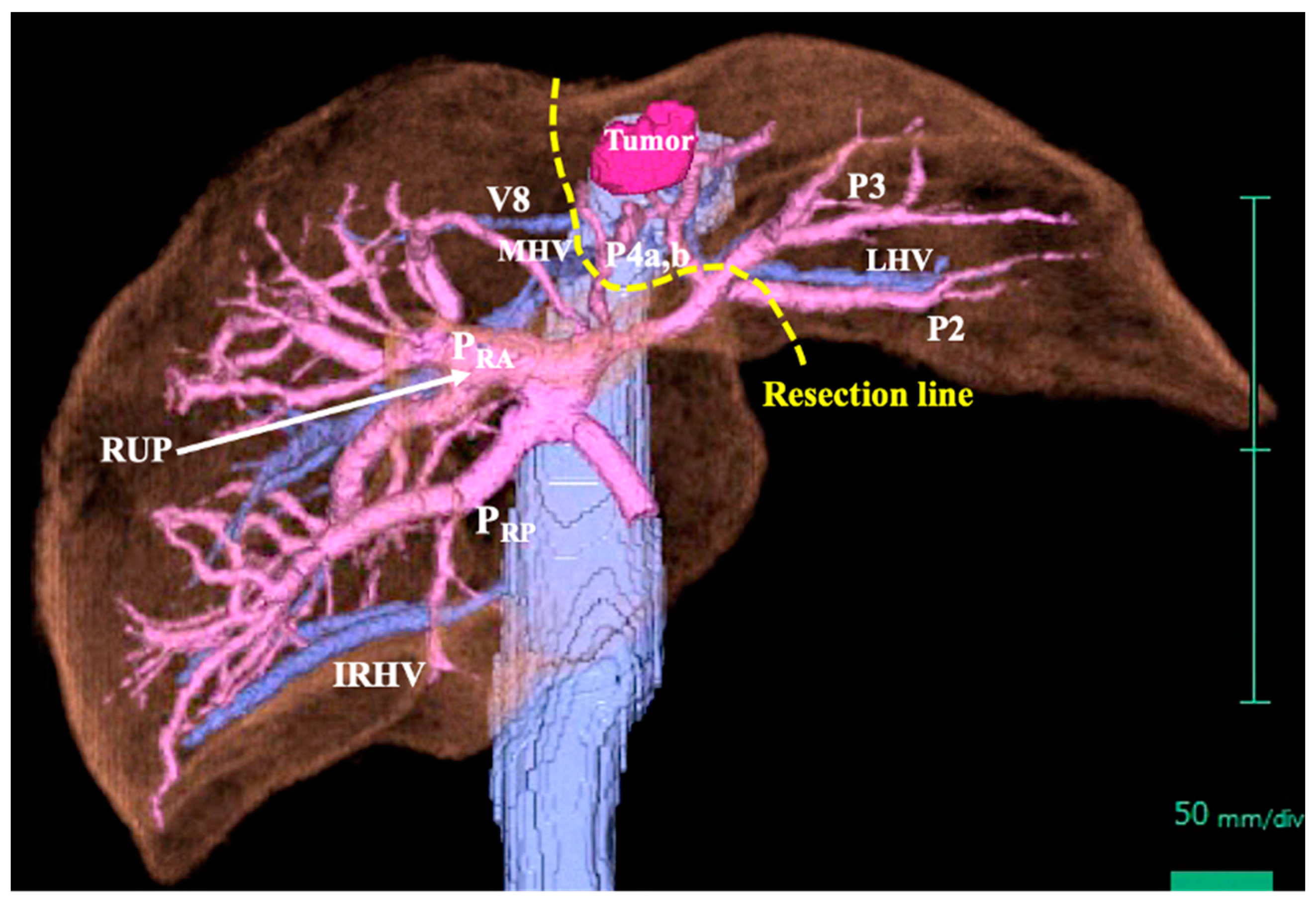 Diagnostics 13 02529 g004
