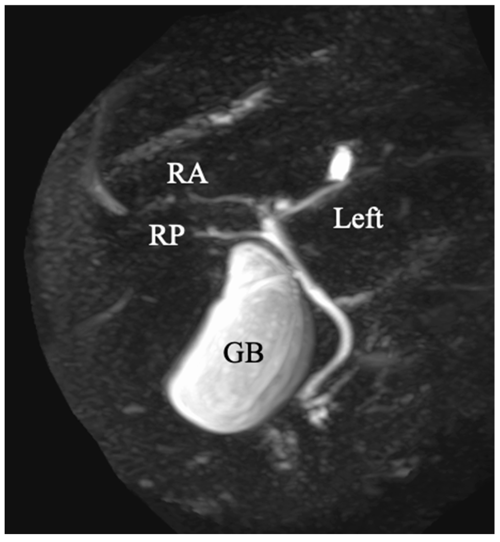 Diagnostics 13 02529 g005