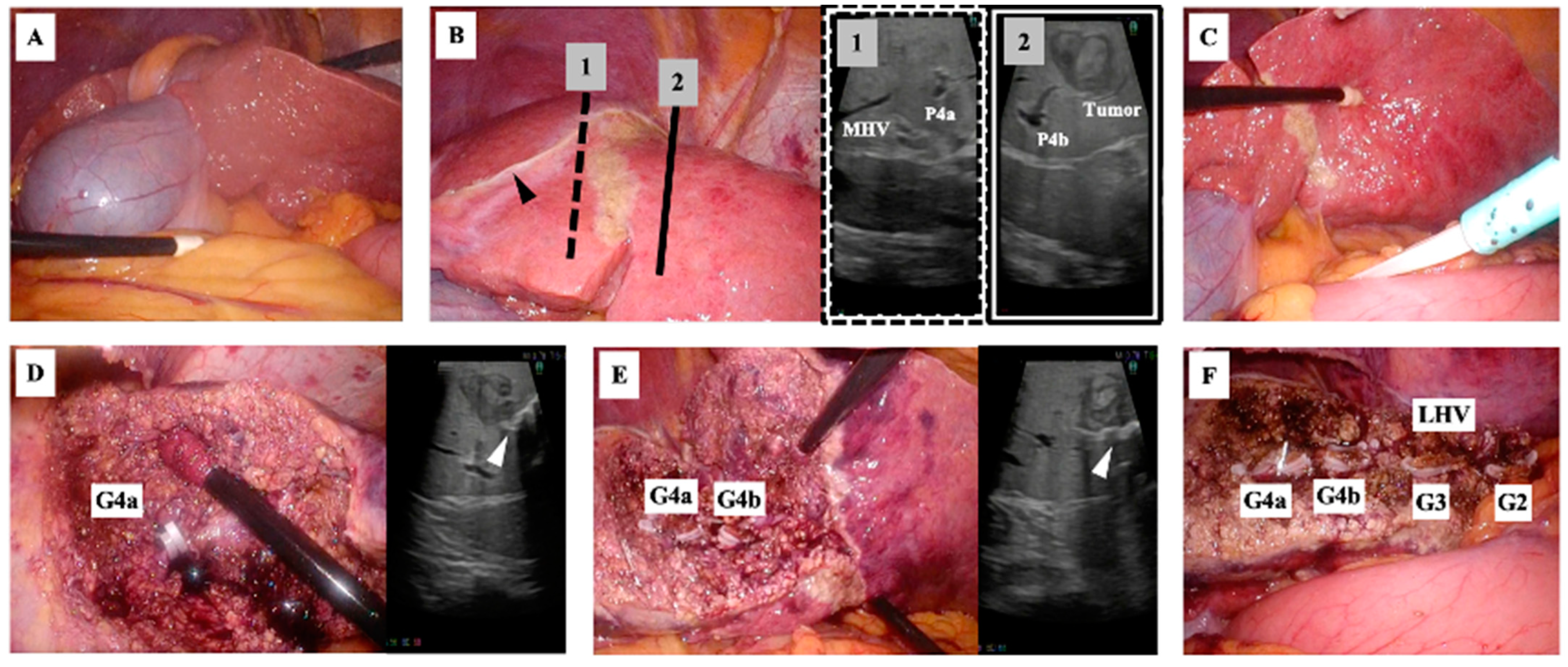Diagnostics 13 02529 g006
